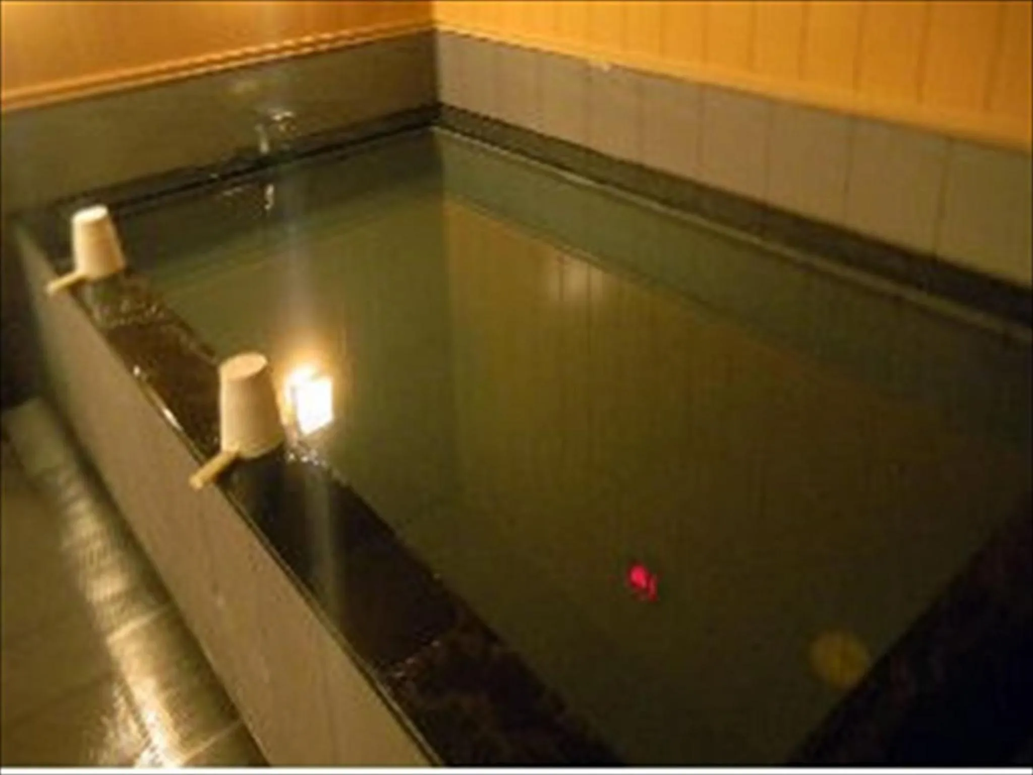 Public Bath in Hotel CROWN HILLS MIYOSHI