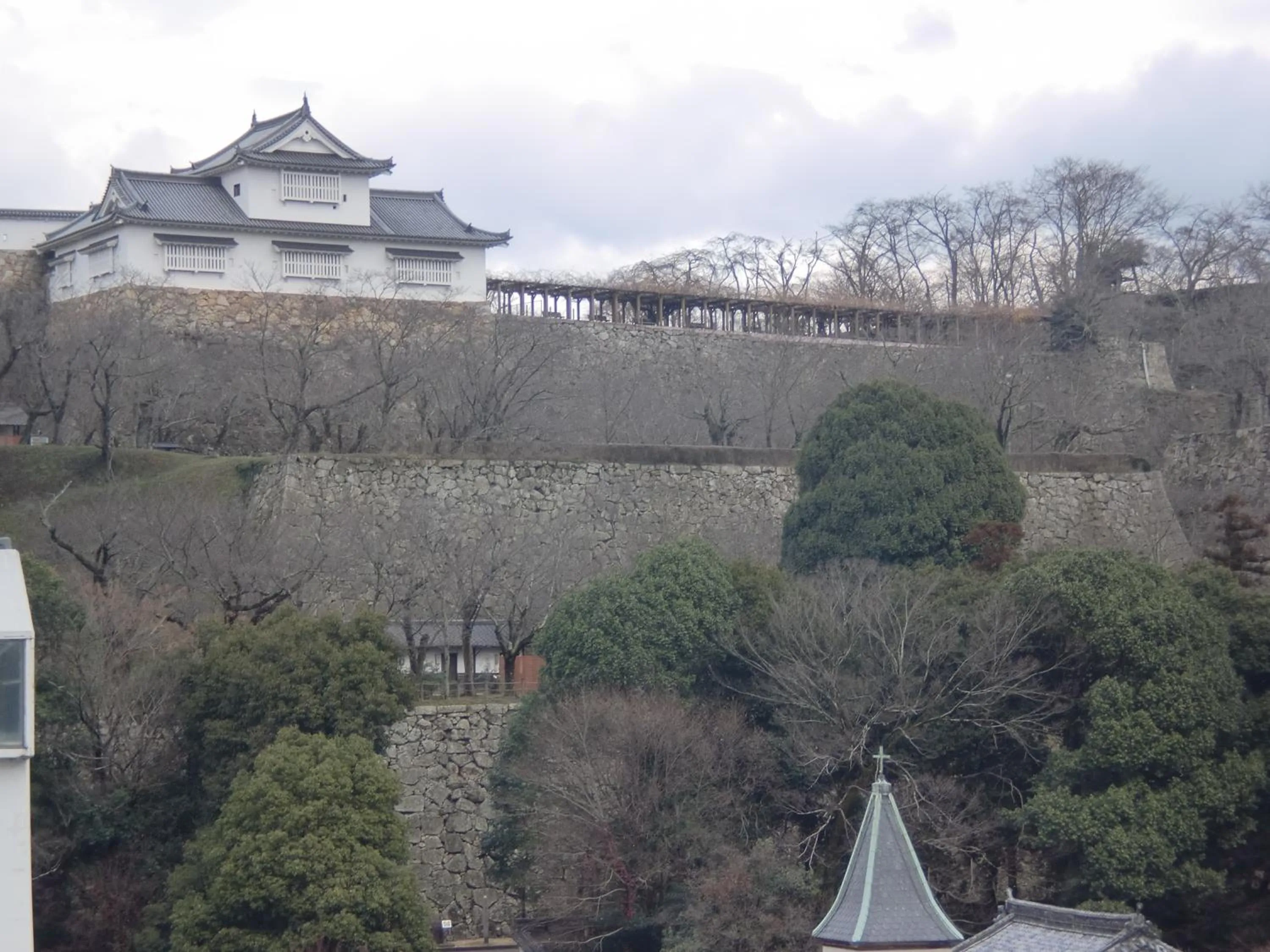 Tsuyama Central Hotel Townhouse