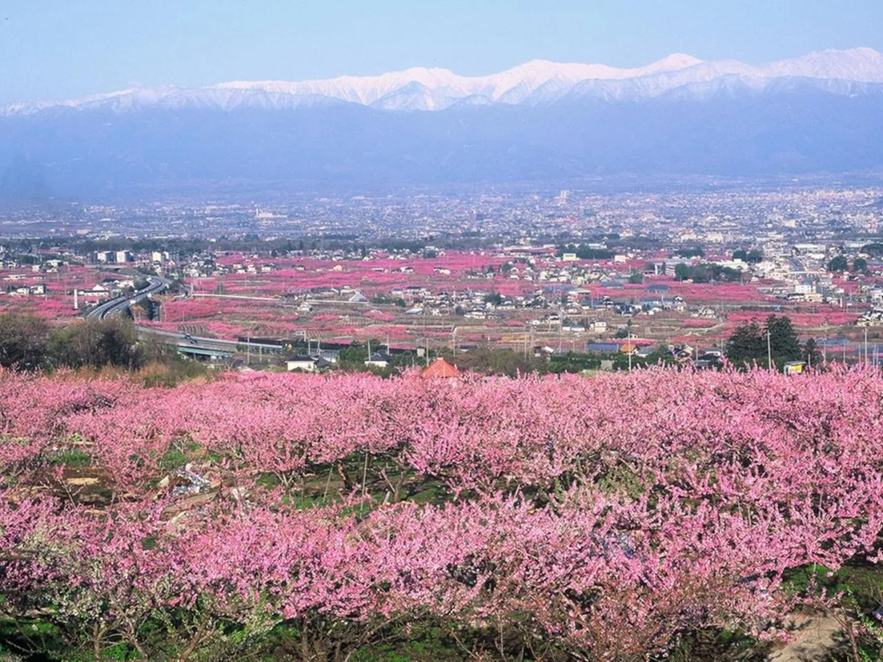 Spring in Kai Resort Hotel