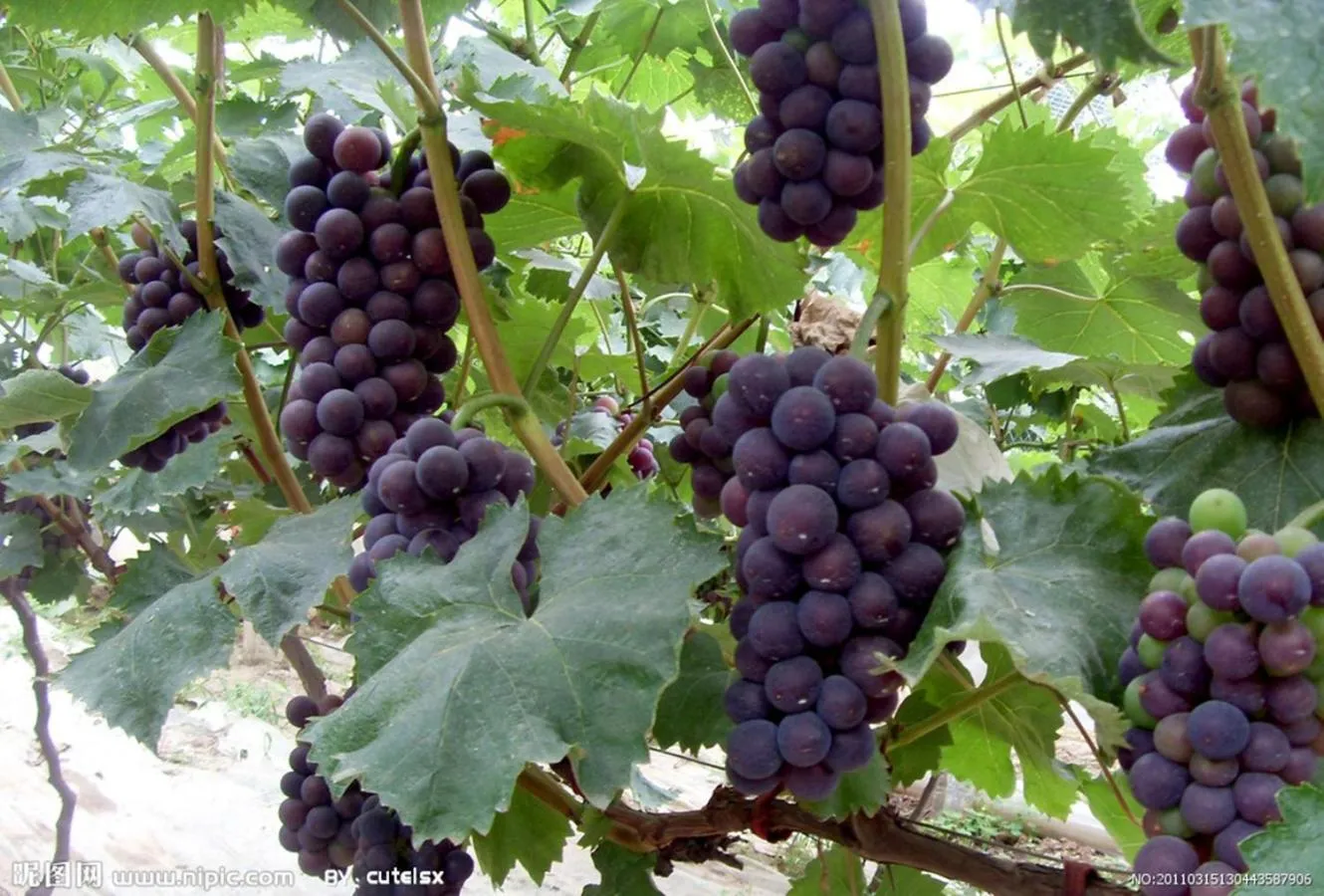 Summer in Kai Resort Hotel