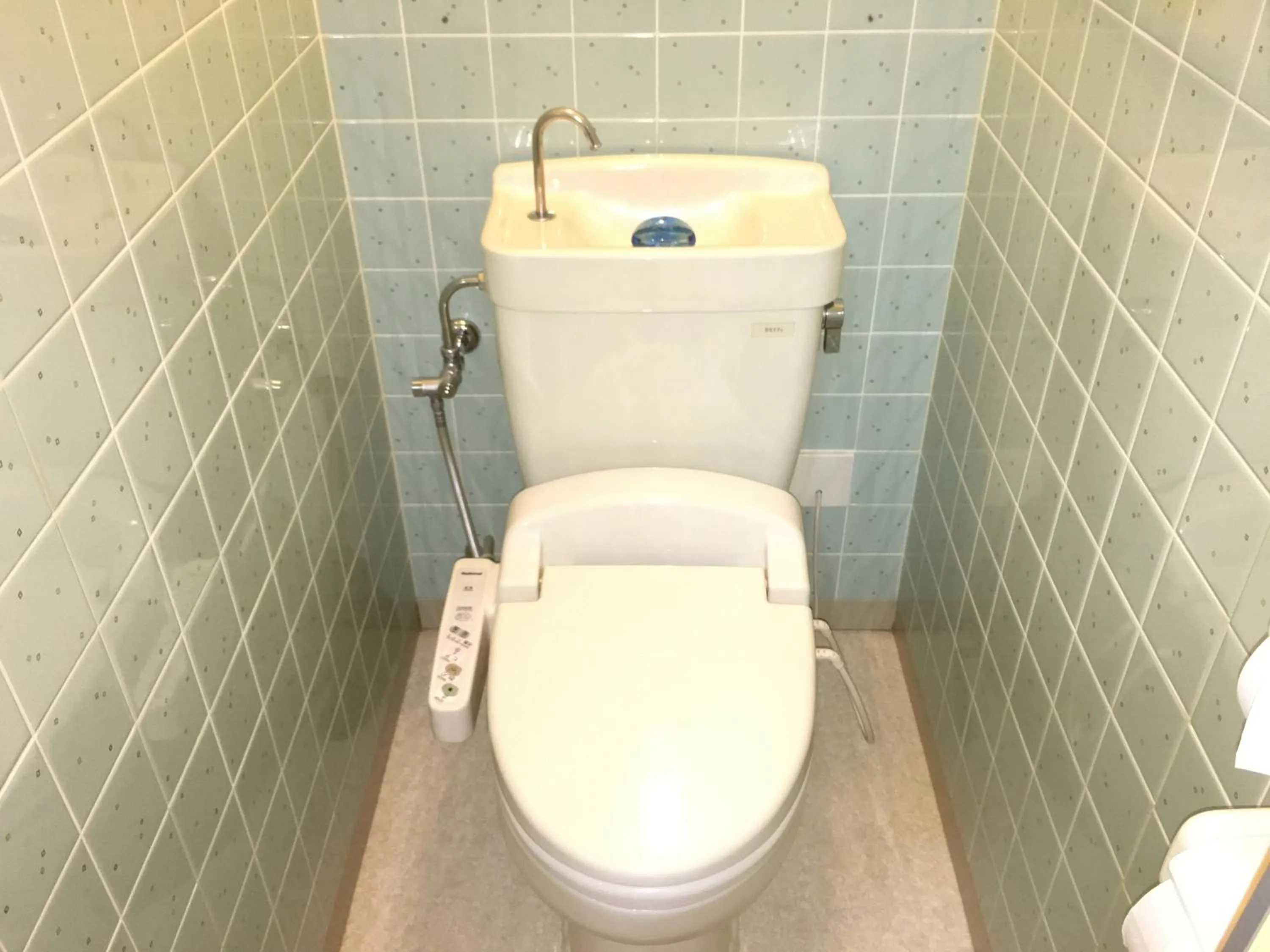 Toilet in Hotel Furukawa Hills