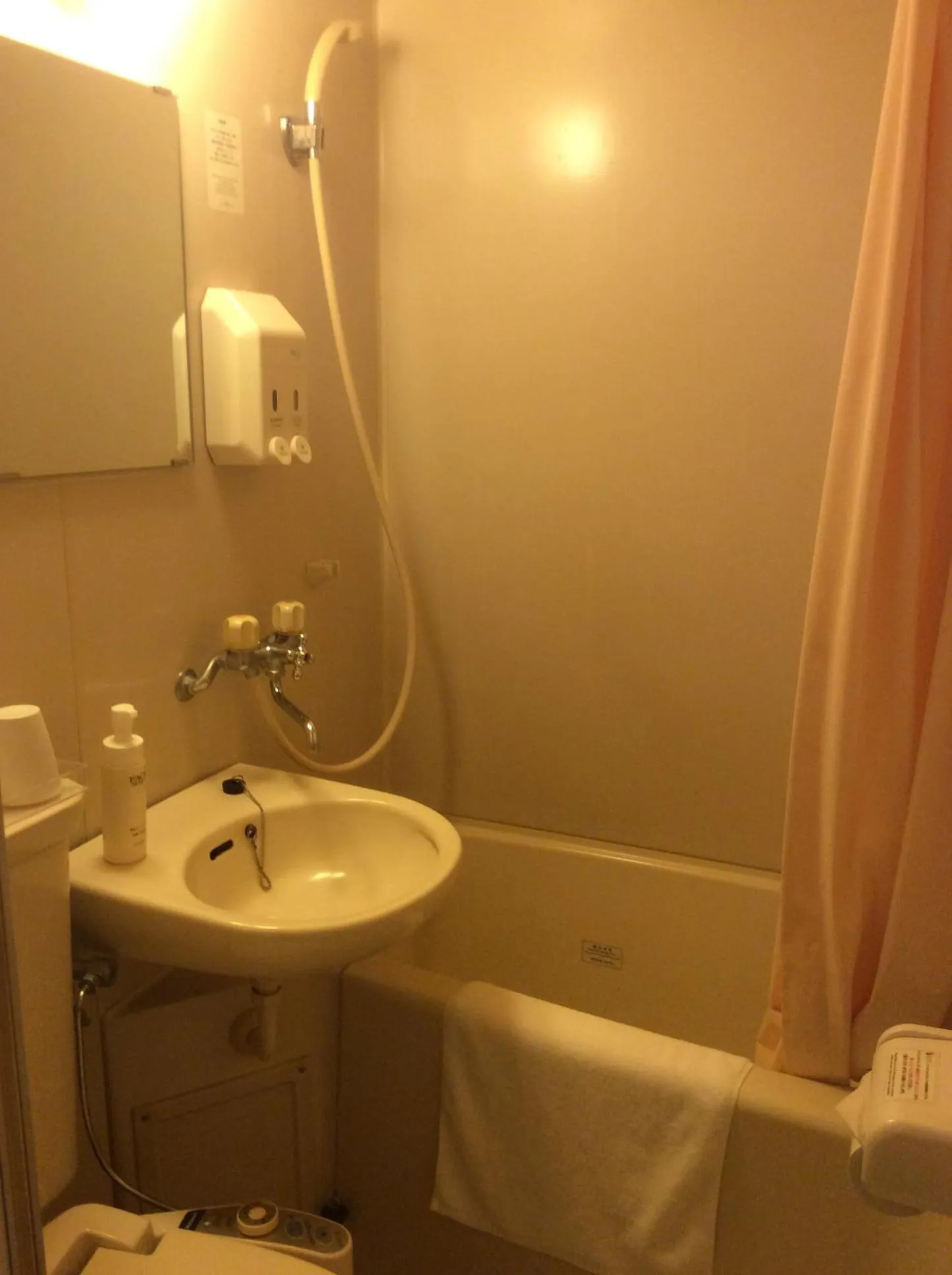 Bathroom in Hotel Togane Hills