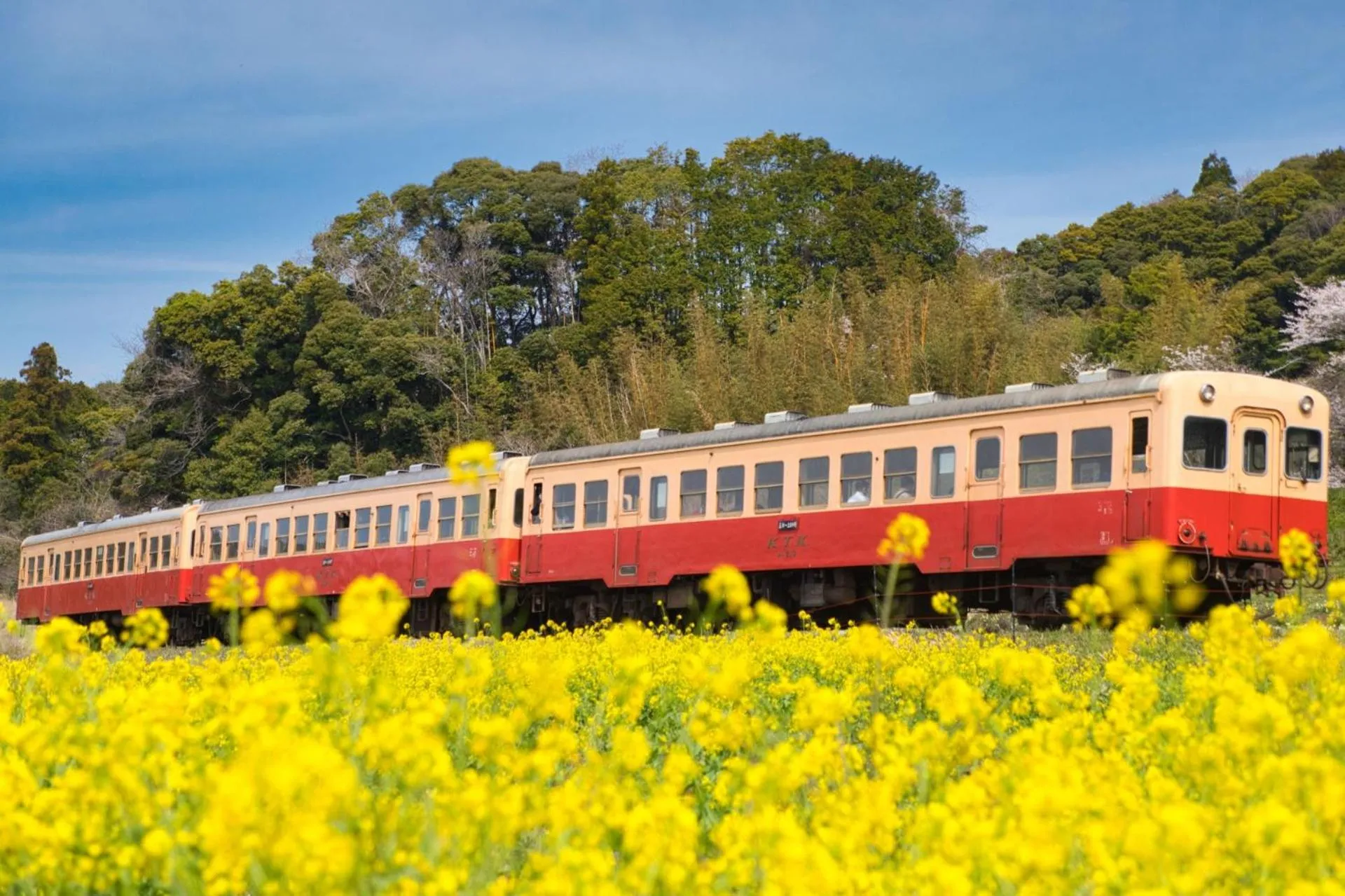 Nearby landmark in Business Hotel Goi Hills