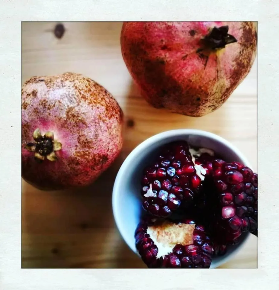 Food close-up in Elementa