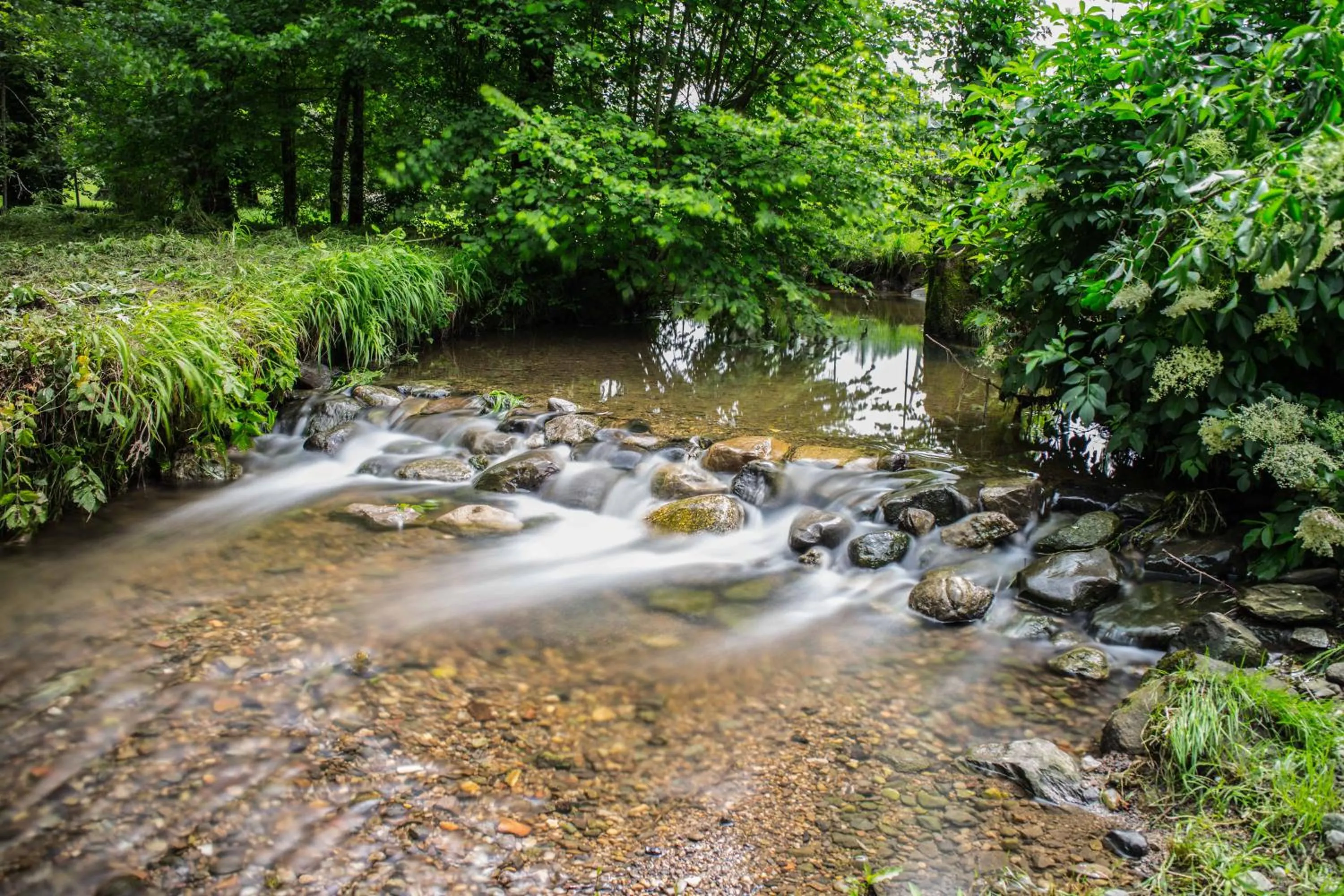 Natural landscape in B&B Alla Roggetta