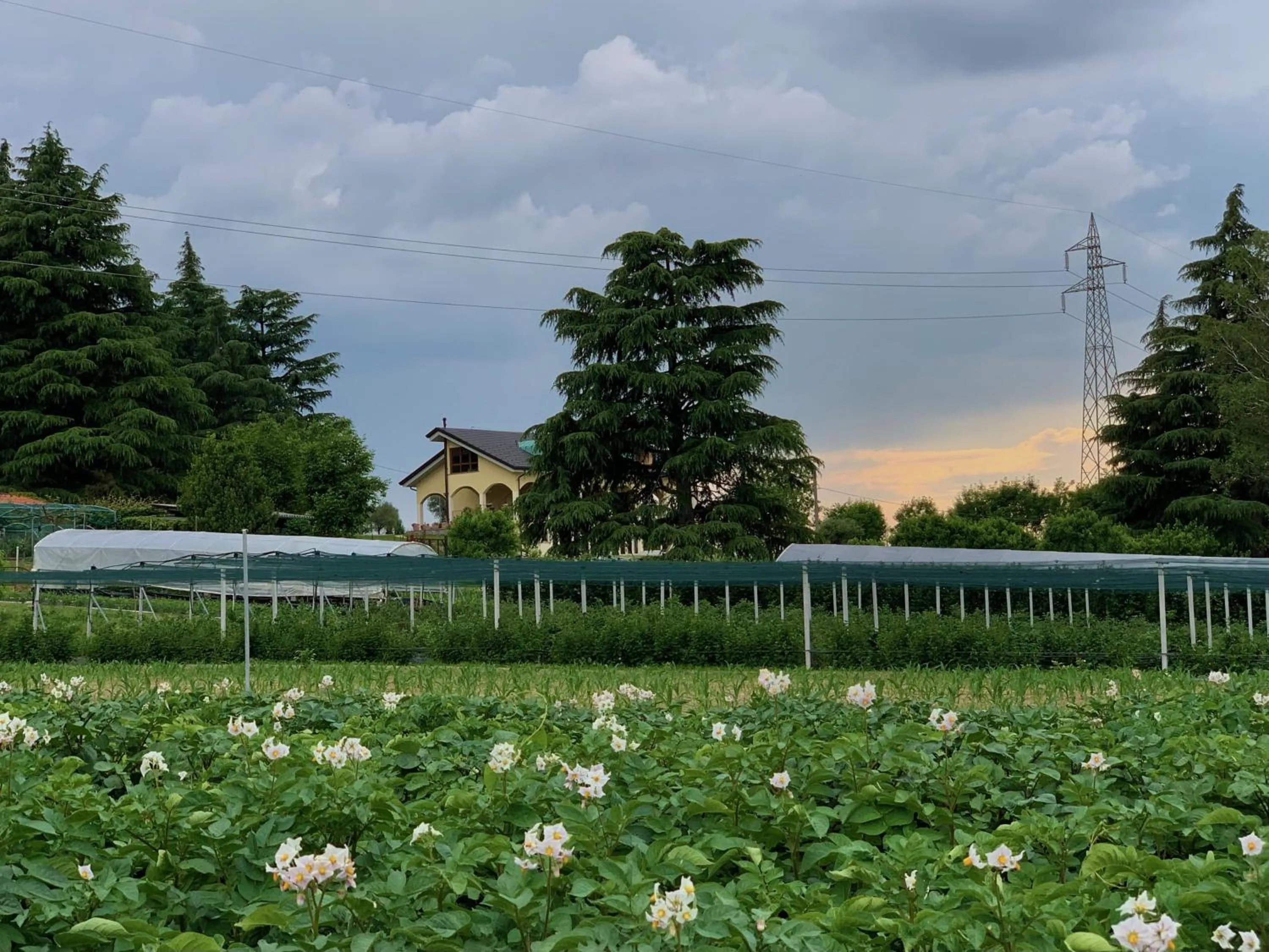 Property building in B&B Alla Roggetta