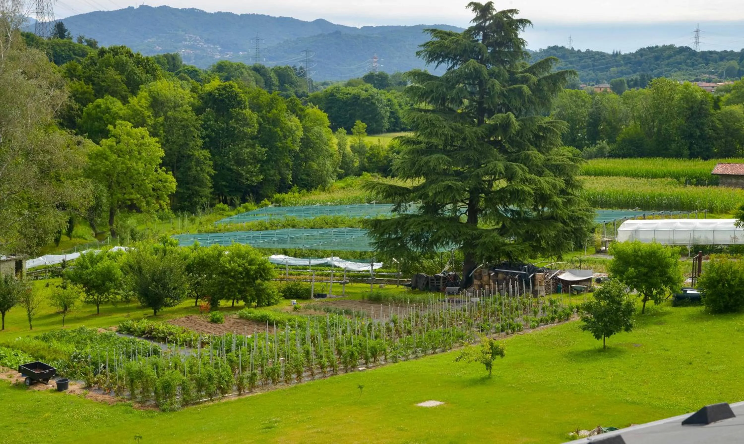 Natural landscape in B&B Alla Roggetta