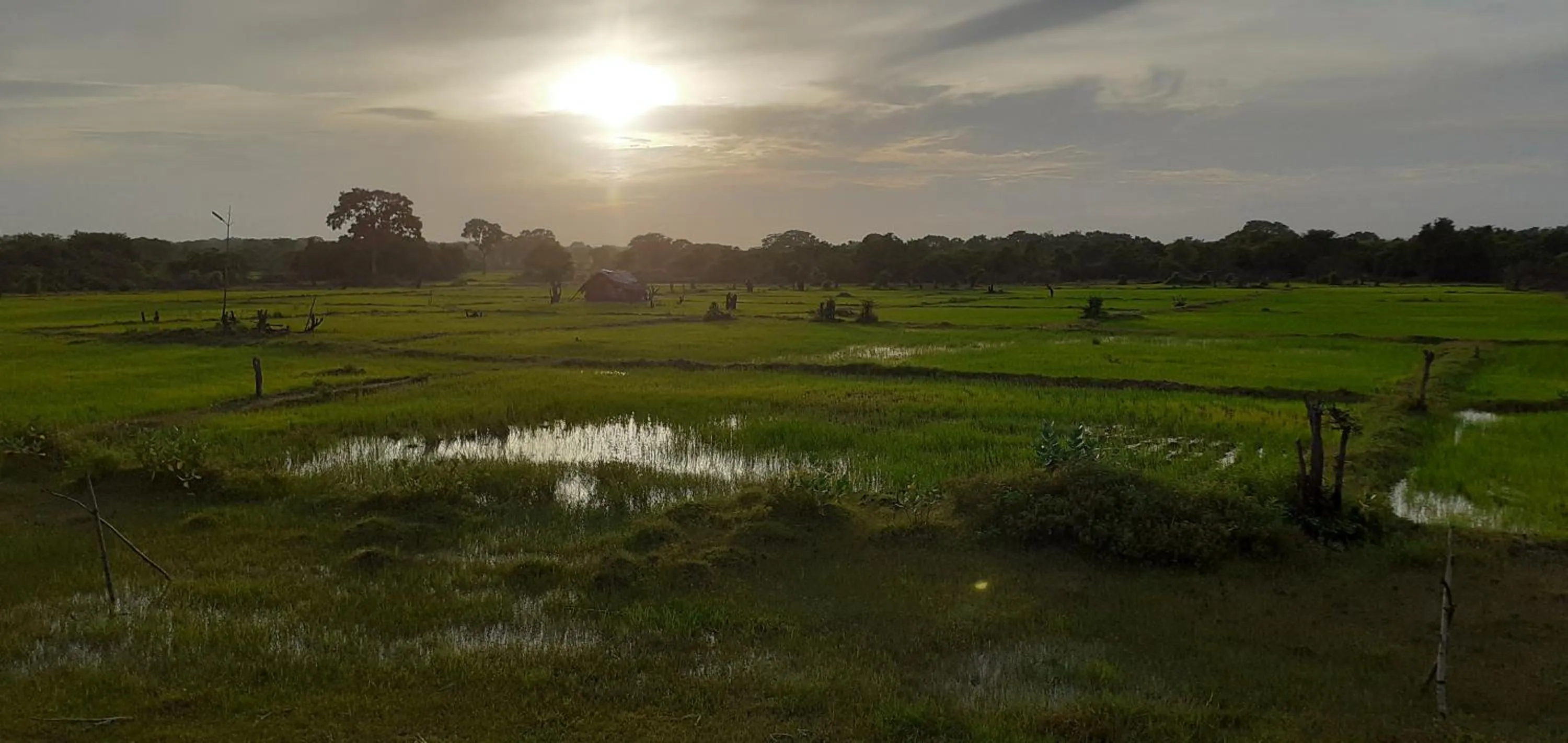 Natural landscape in Nilaveli Beach Rooms