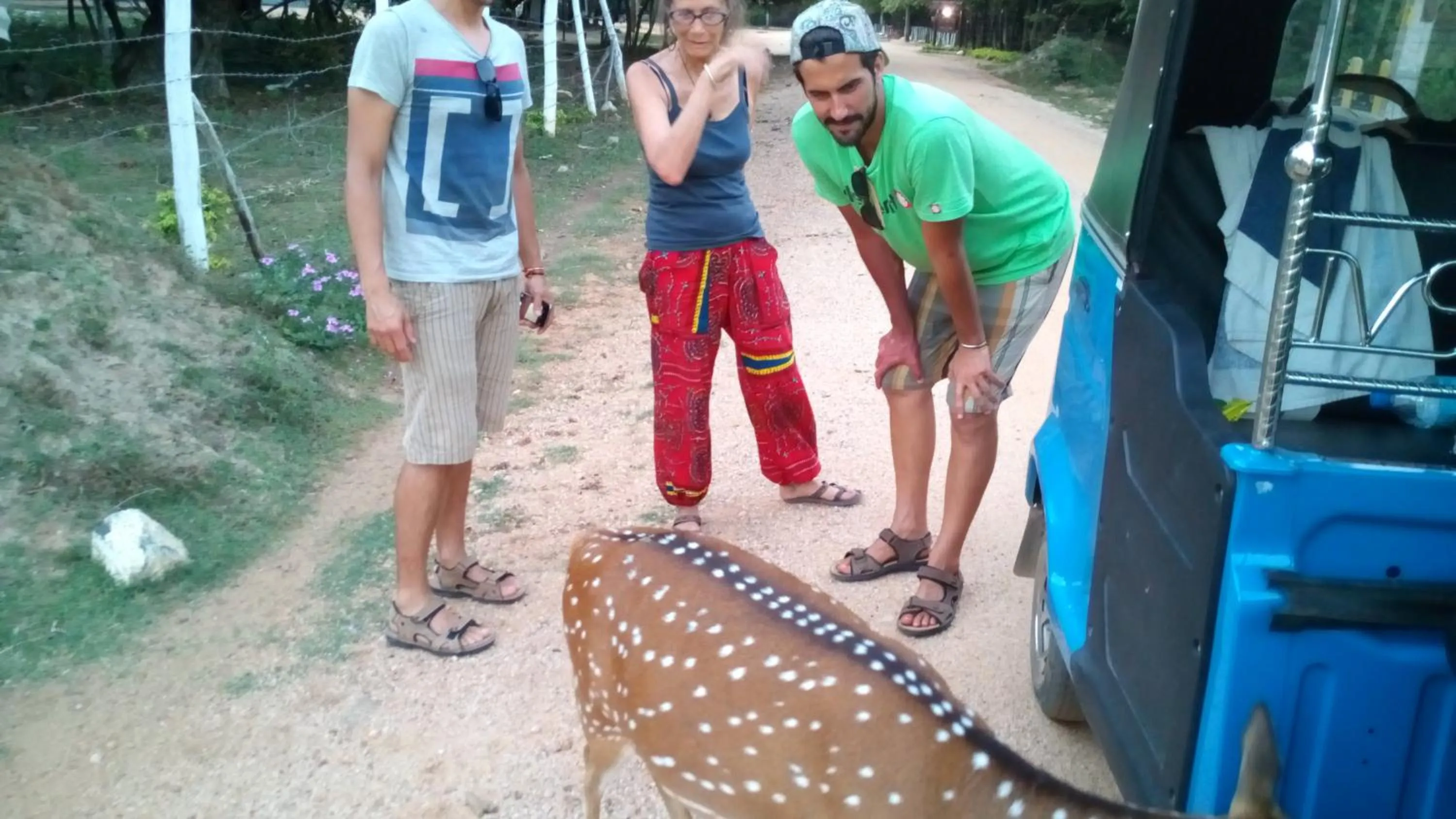 Animals in Nilaveli Beach Rooms