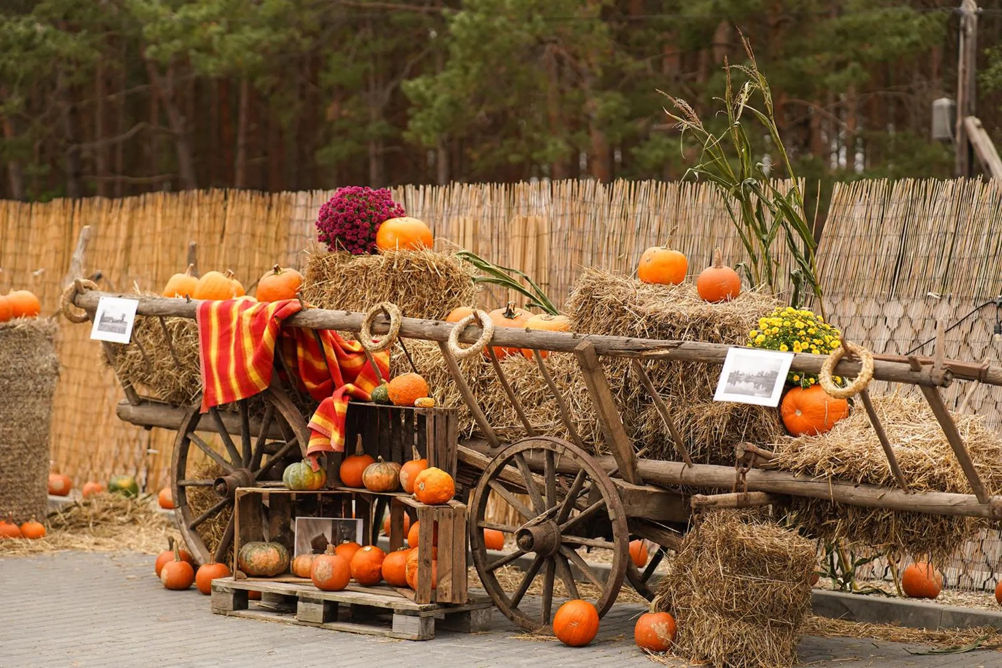 Garden in Holiday Golden Resort & Spa