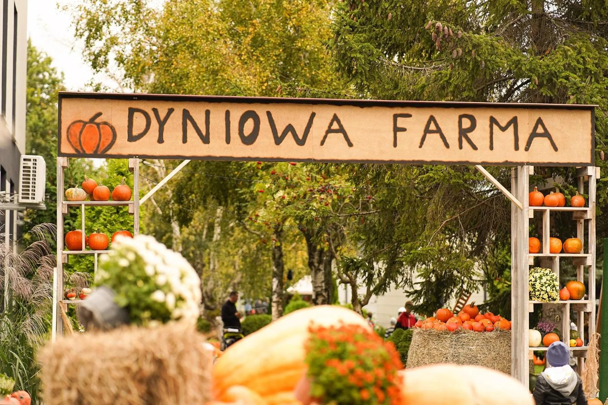 Garden view in Holiday Golden Resort & Spa