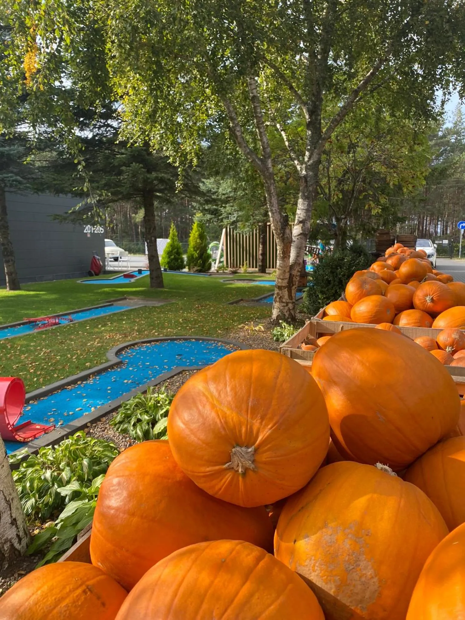 Garden in Holiday Golden Resort & Spa