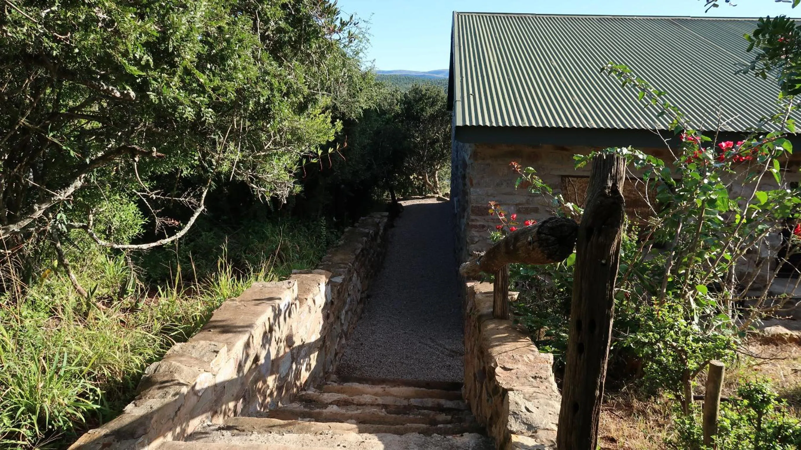Property building in African Safari Lodge