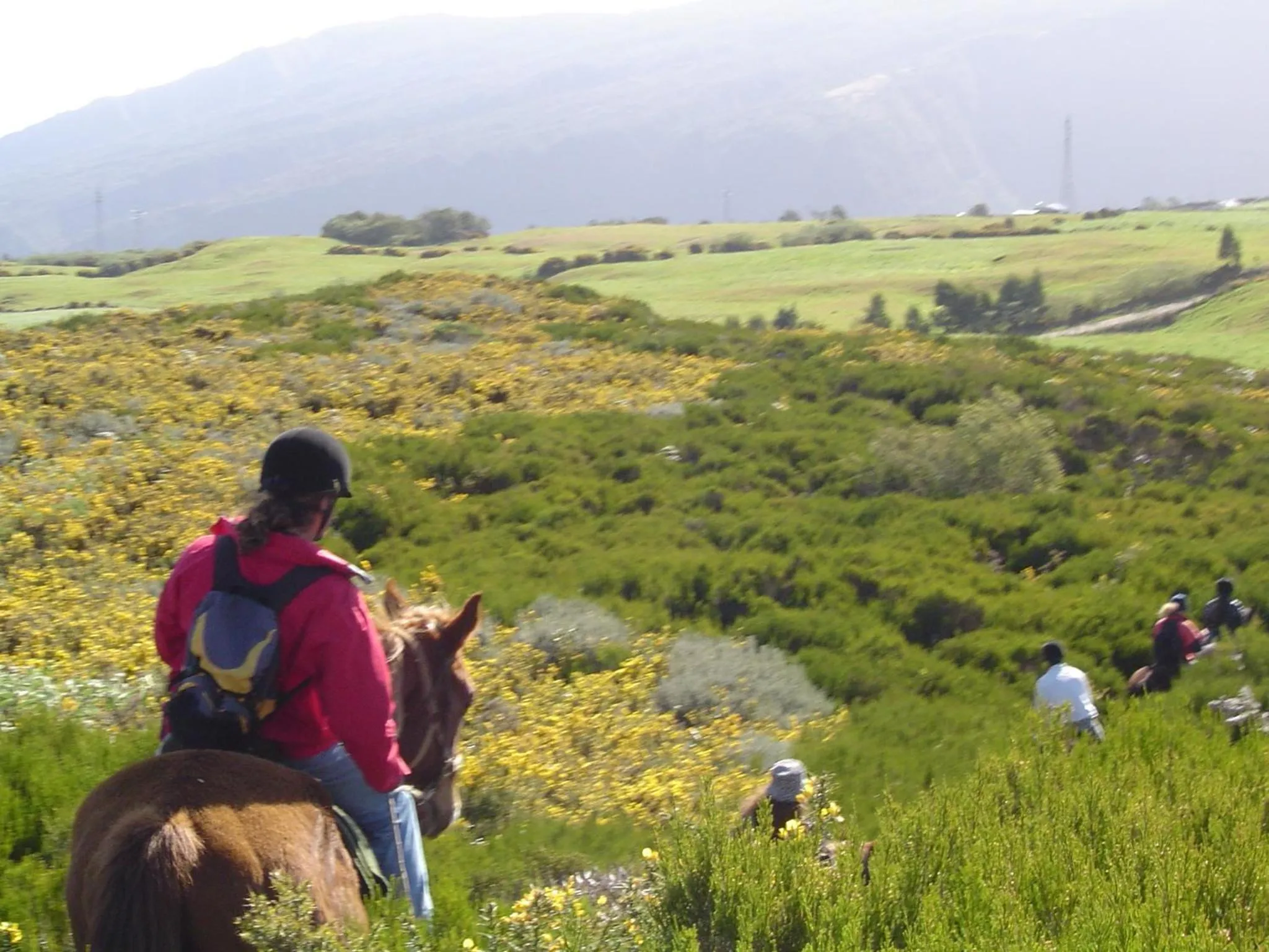 Horse-riding in Relais du Volcan