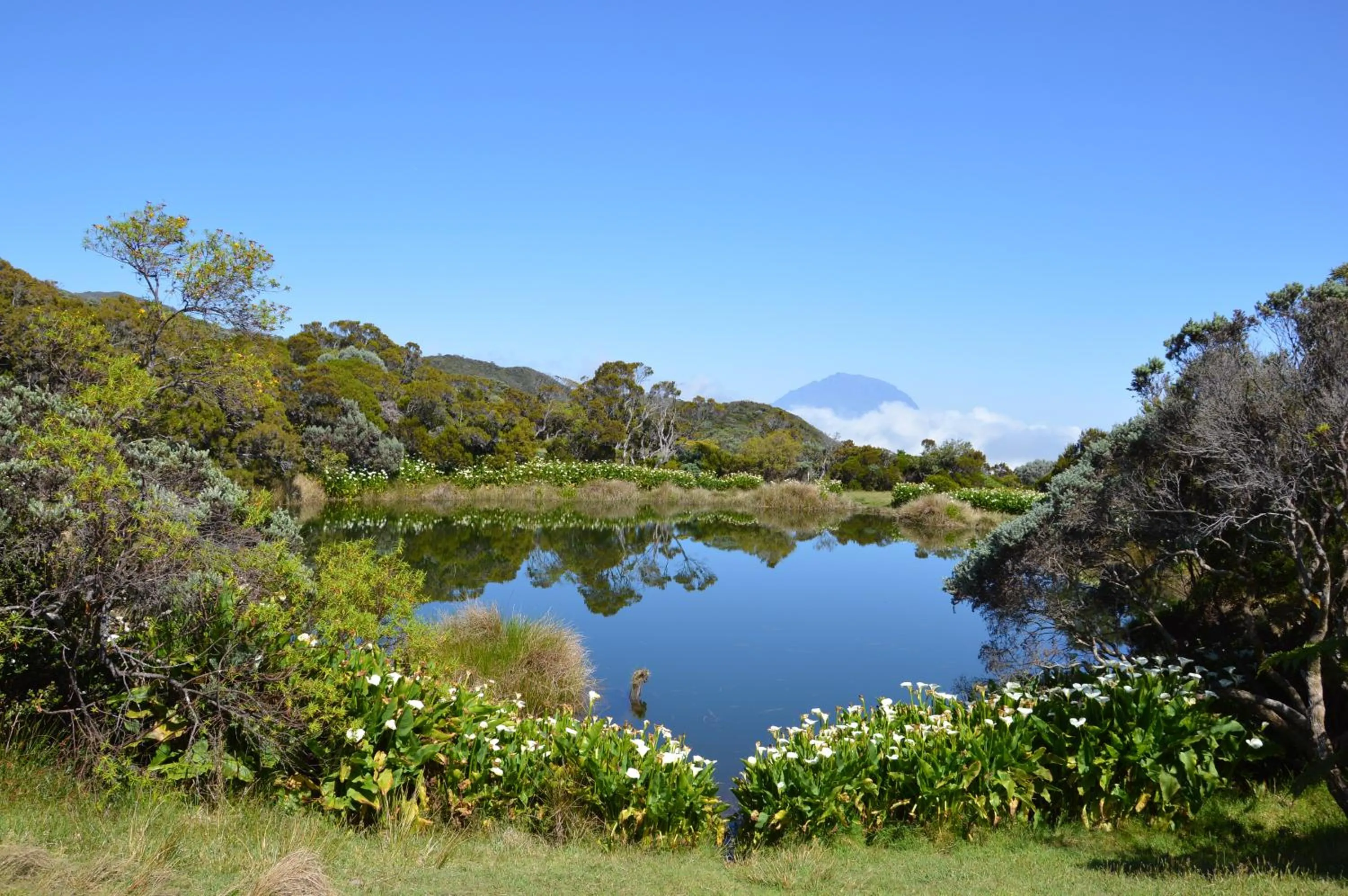 Natural landscape in Relais du Volcan
