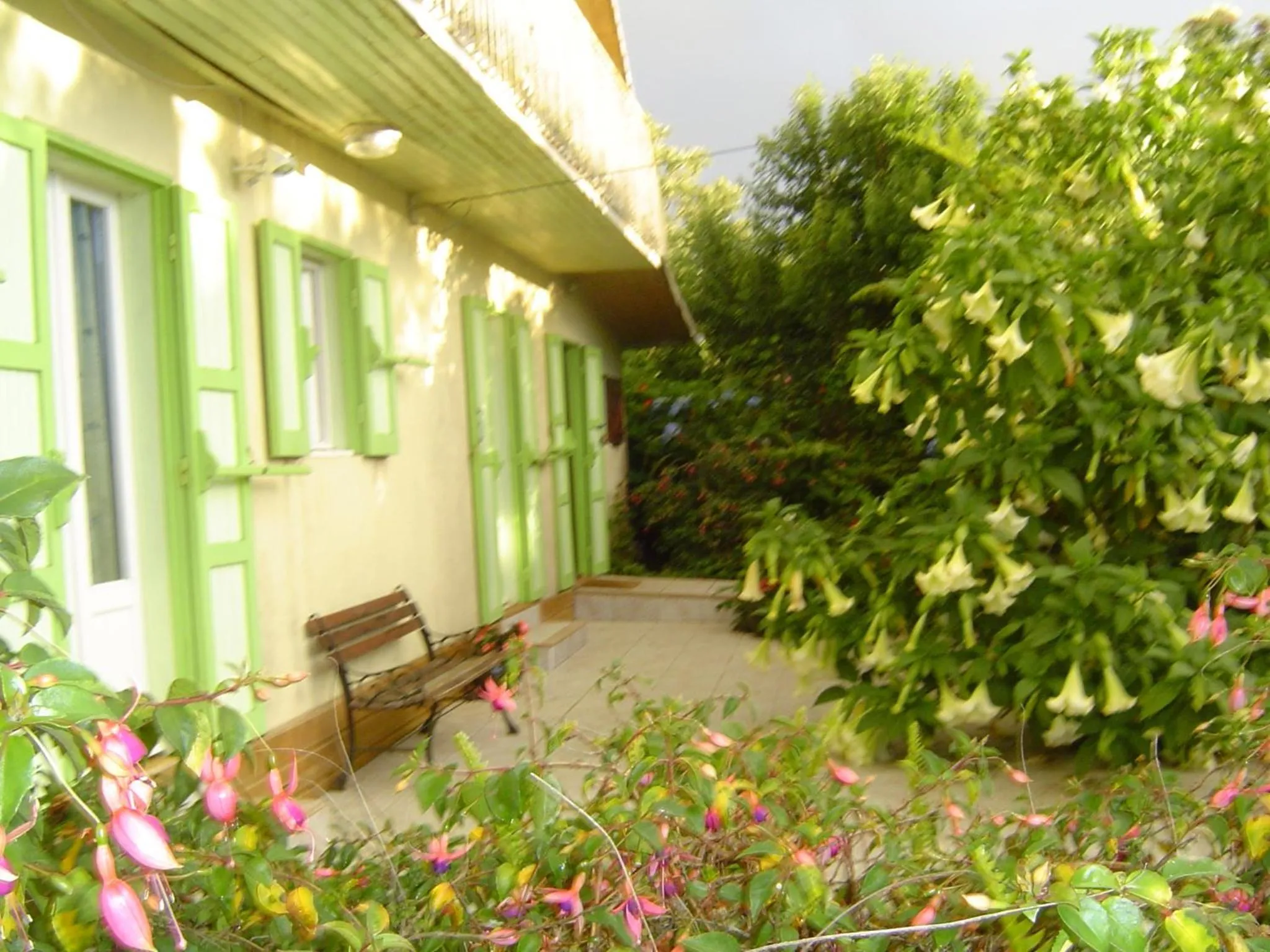 BBQ facilities in Relais du Volcan