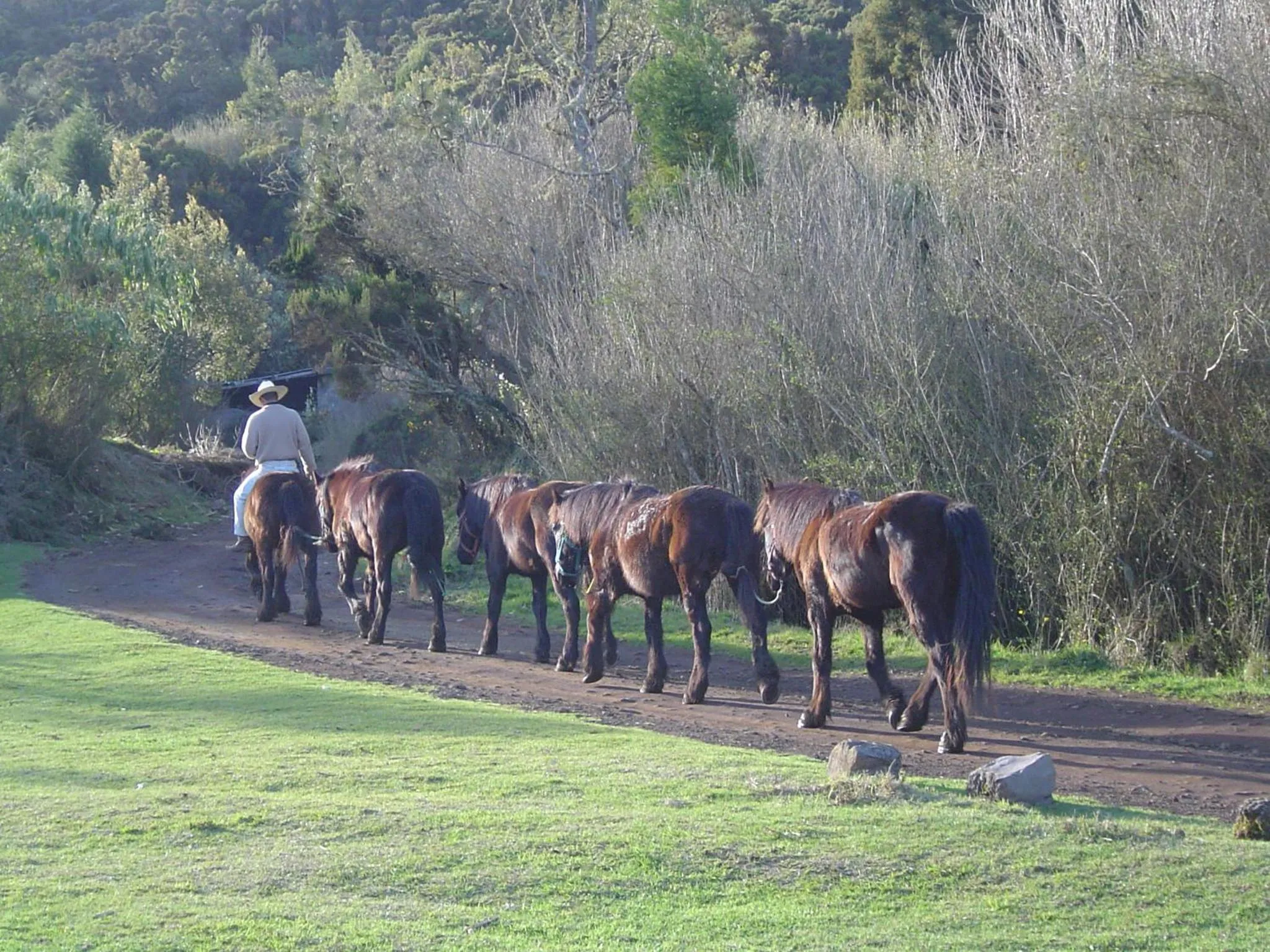 Neighbourhood in Relais du Volcan