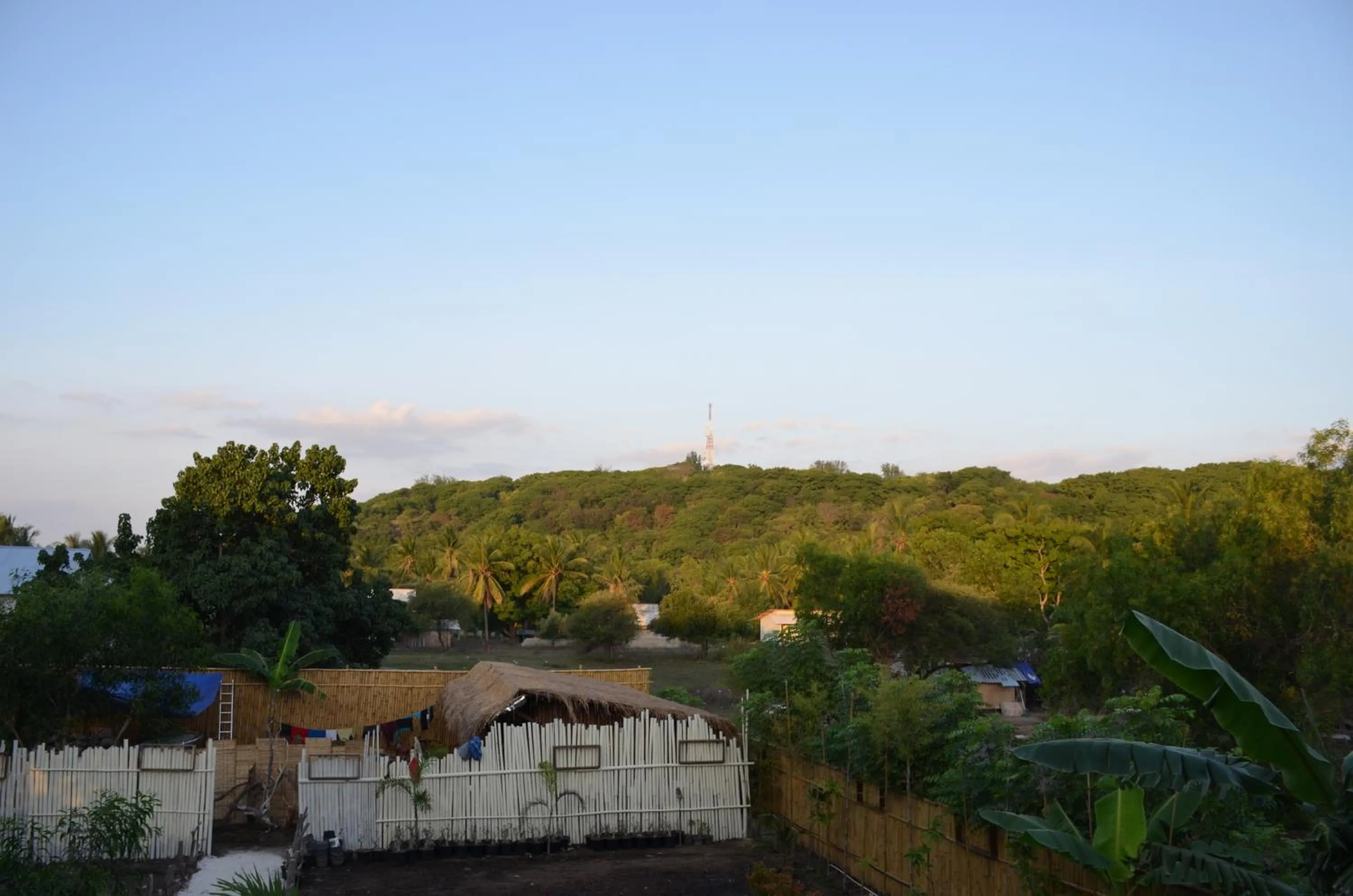 Natural landscape in Serene Beach Villa