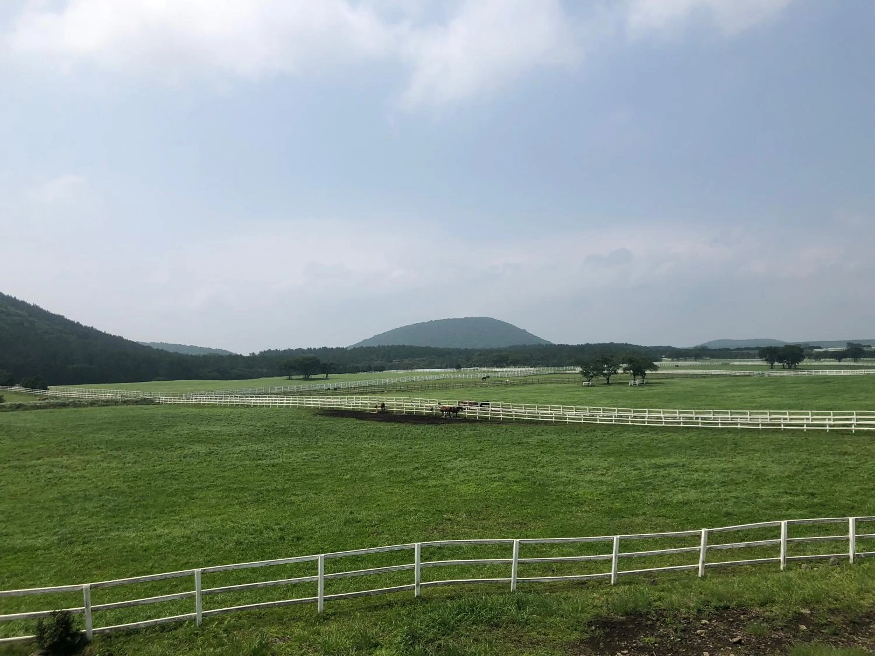 Natural landscape in Seogwipo JS Hotel