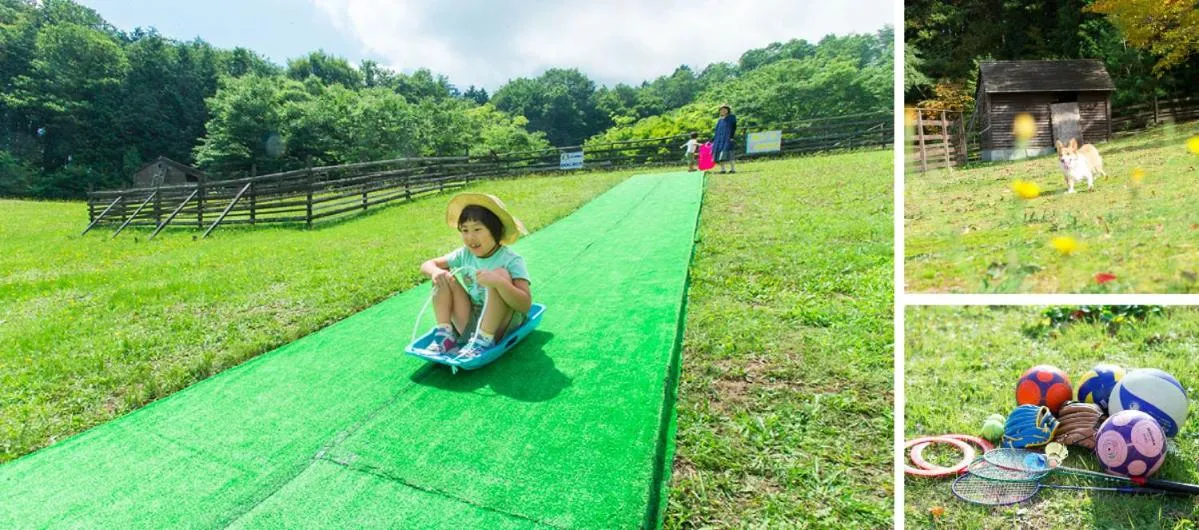 Garden in Blue Ridge Hotel