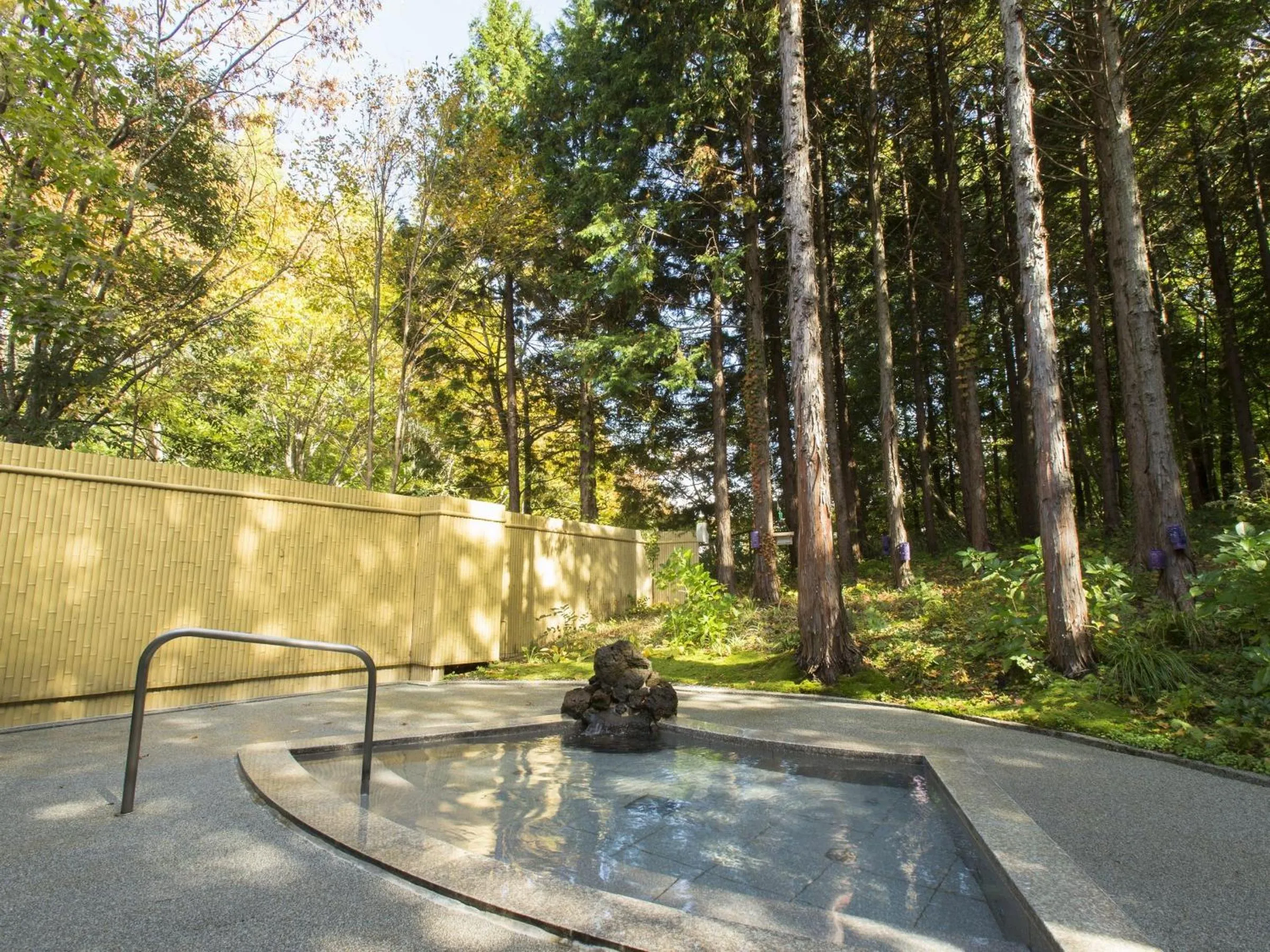 Hot Spring Bath in Blue Ridge Hotel