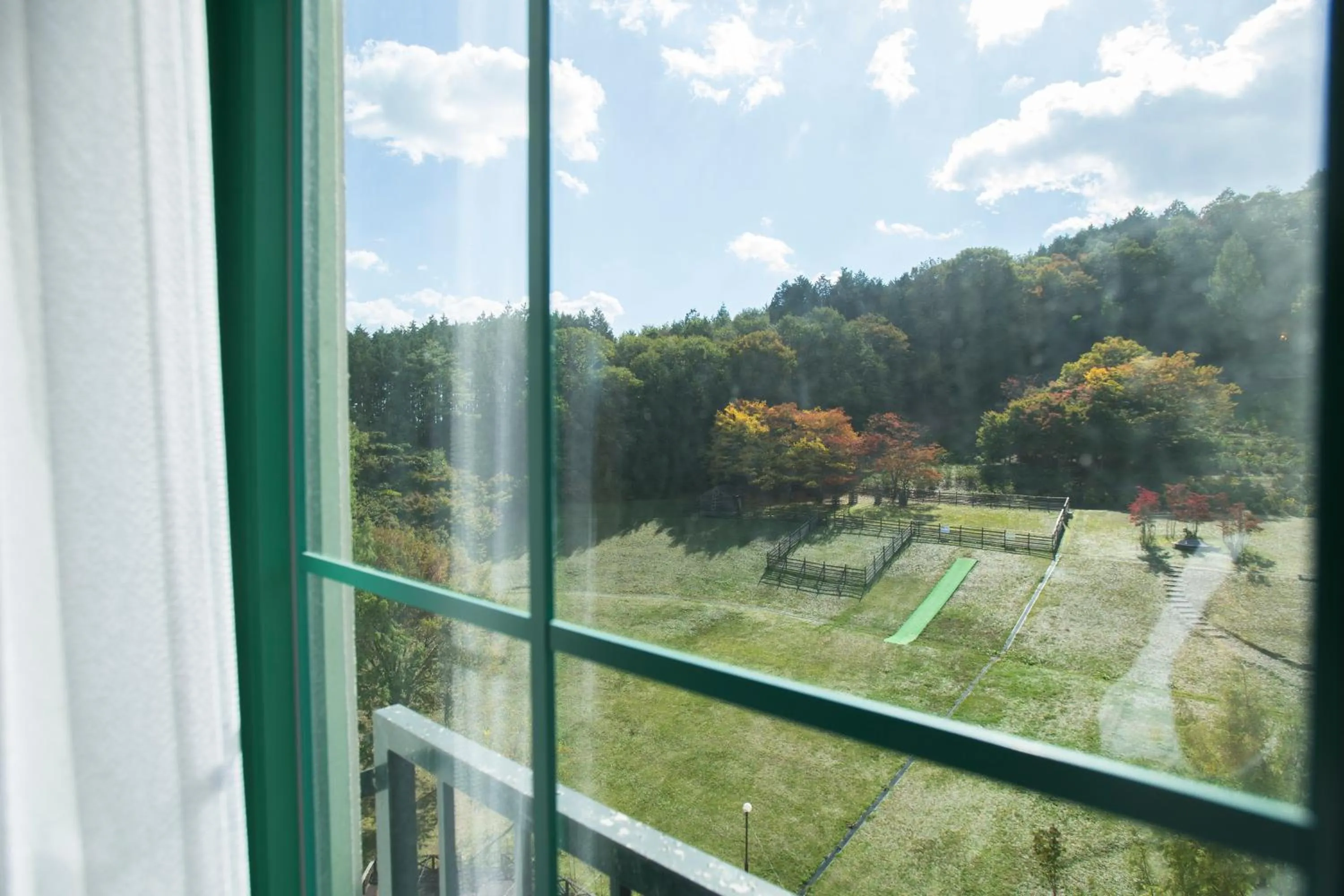 View (from property/room) in Blue Ridge Hotel