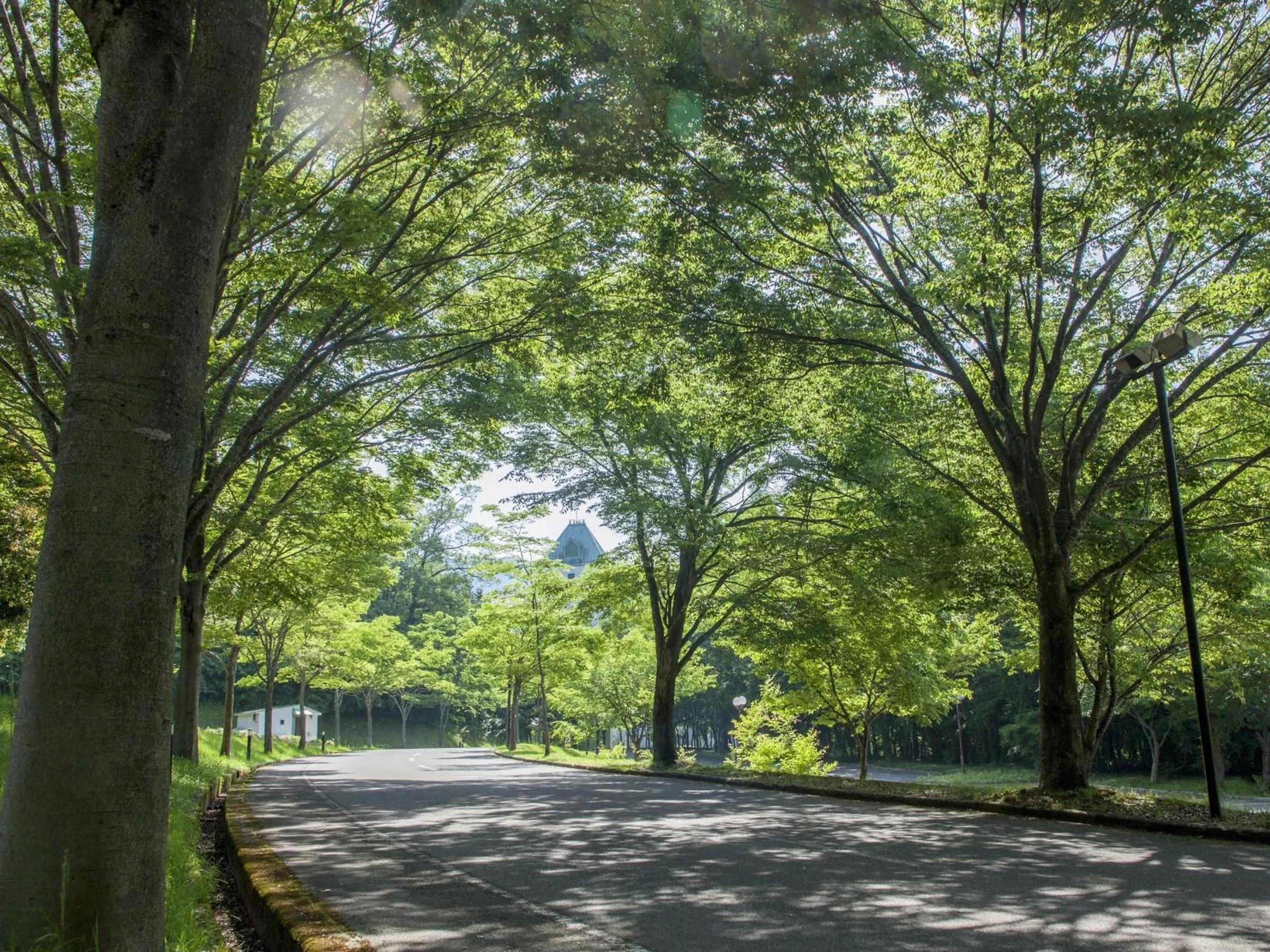 Natural landscape in Blue Ridge Hotel