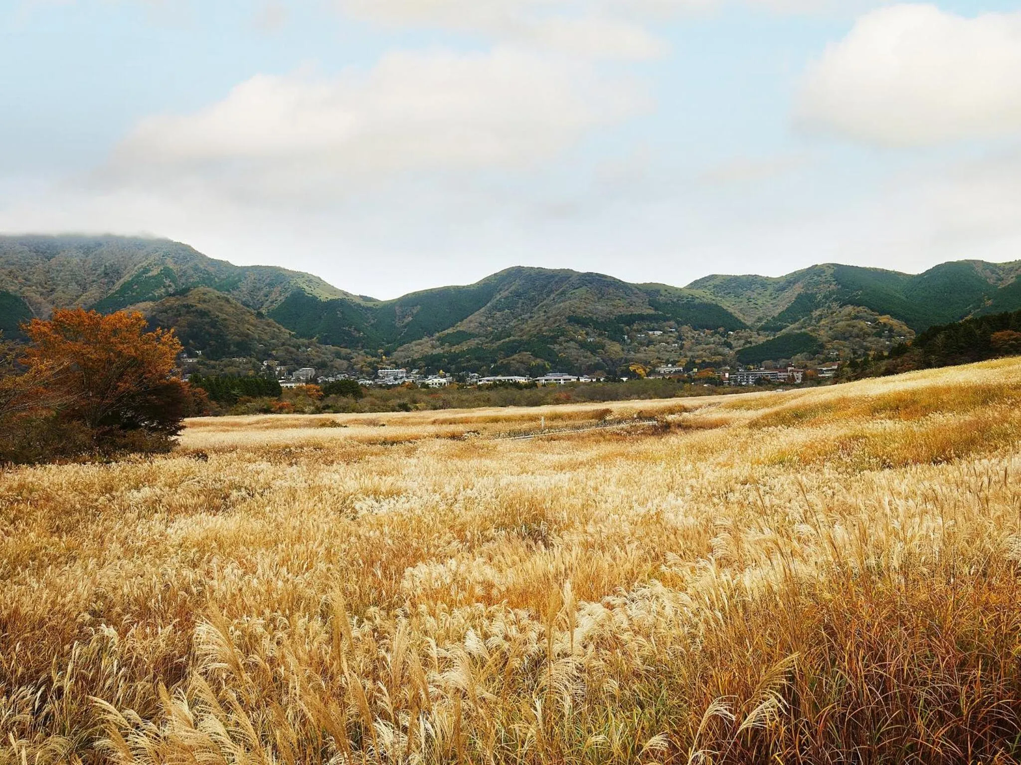 Nearby landmark in Hakone Retreat Före