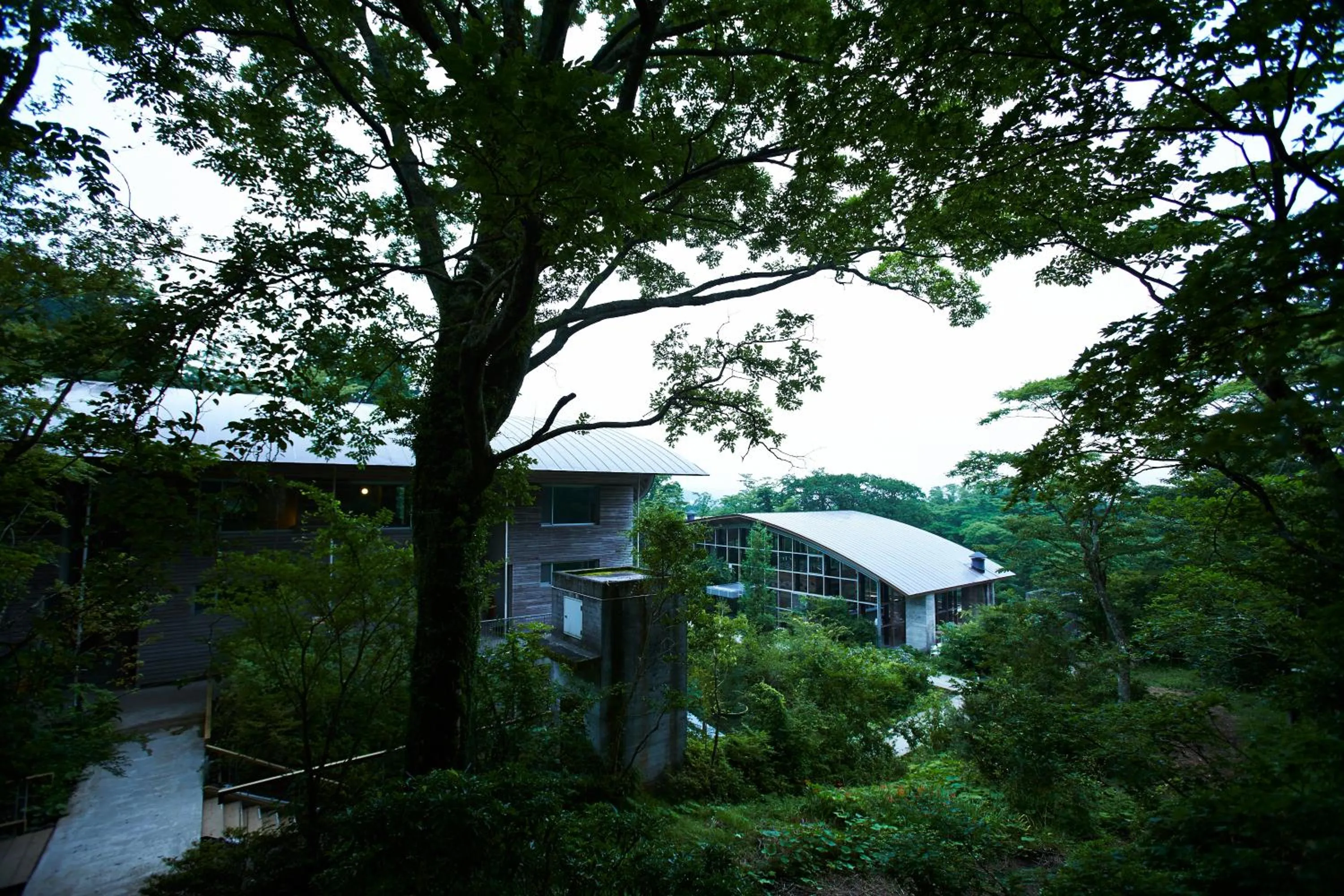 Property building in Hakone Retreat Före