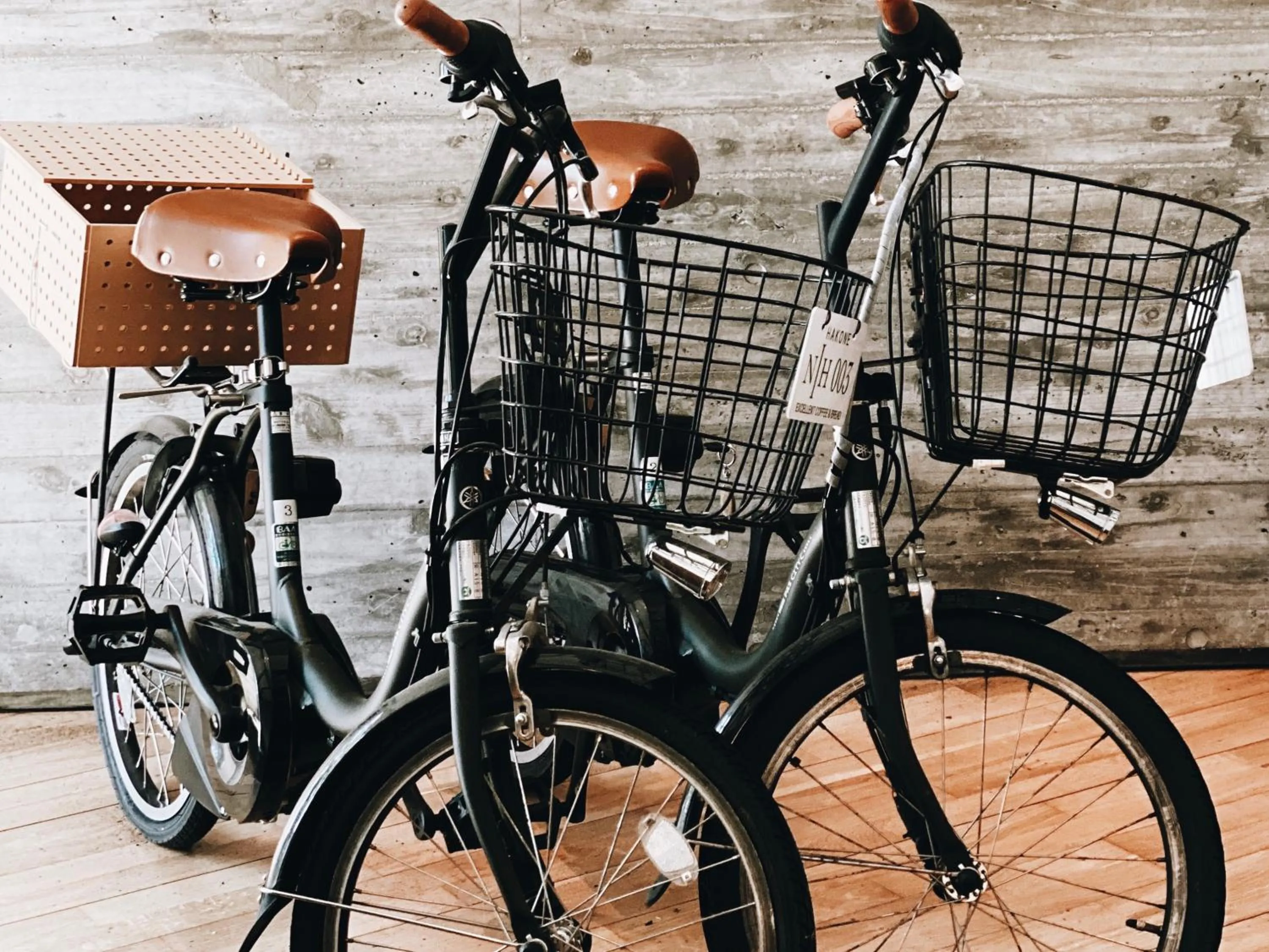 Activities in Hakone Retreat Före