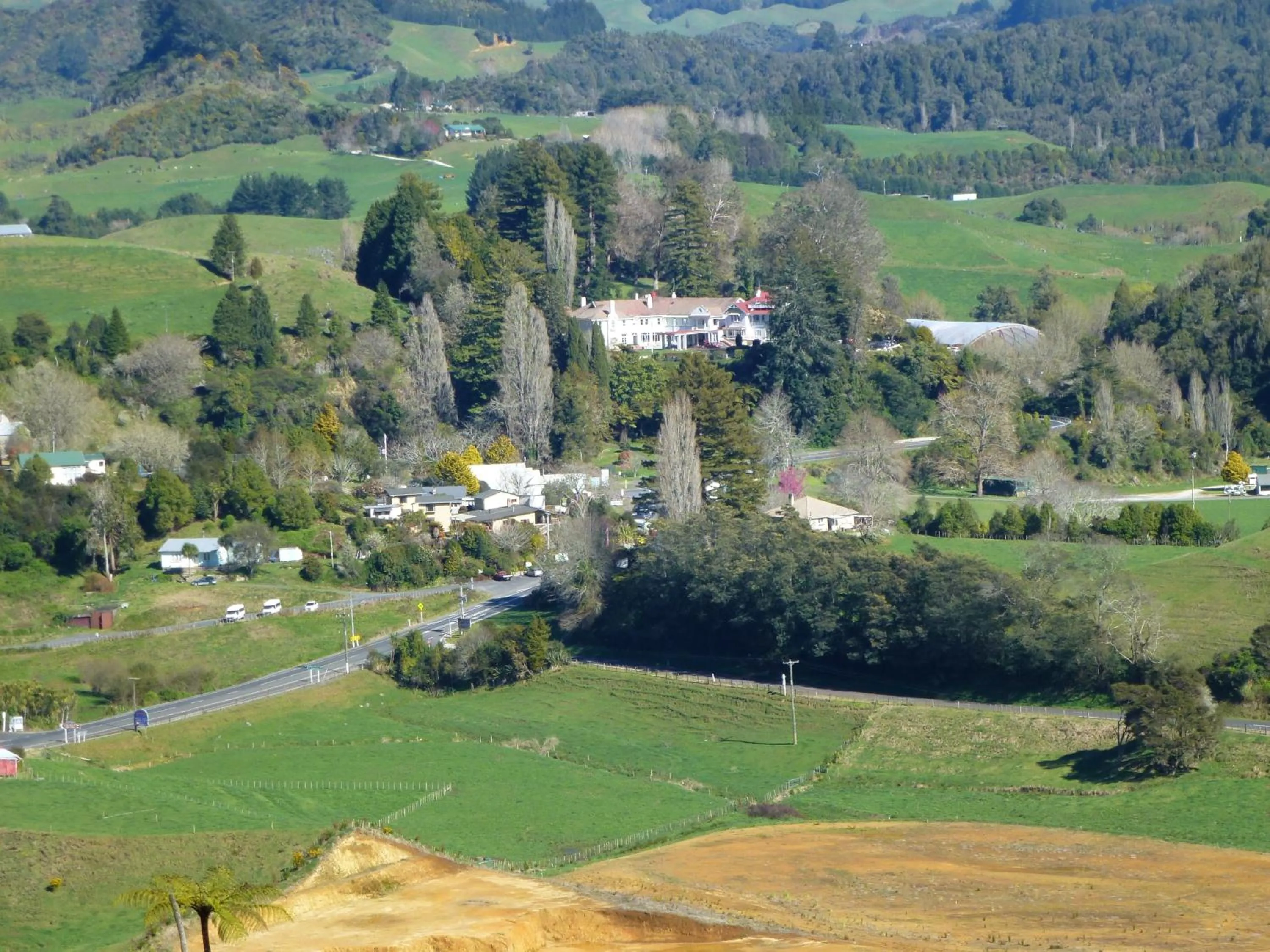Natural landscape in Waitomo Caves Guest Lodge