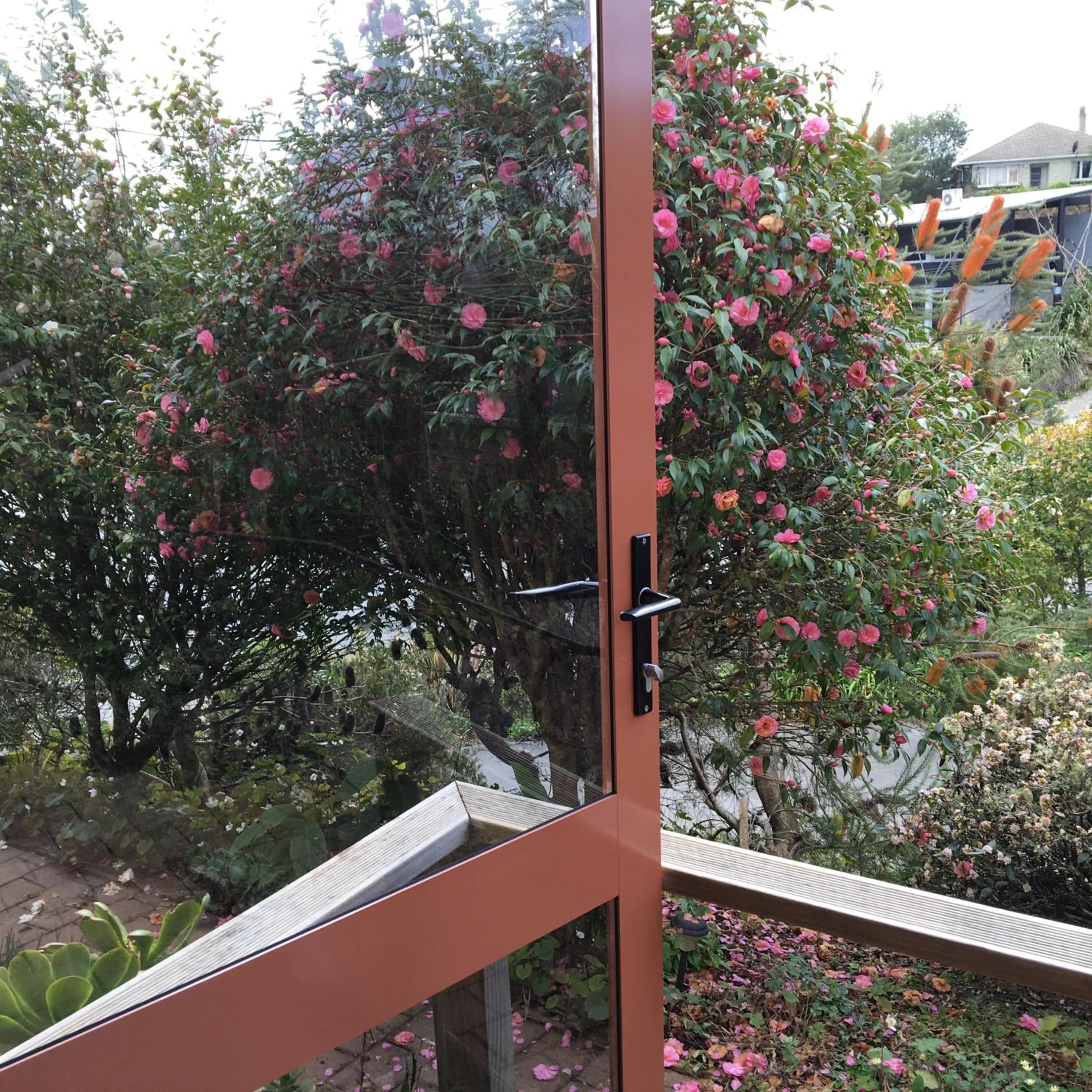 Day in Waitomo Caves Guest Lodge