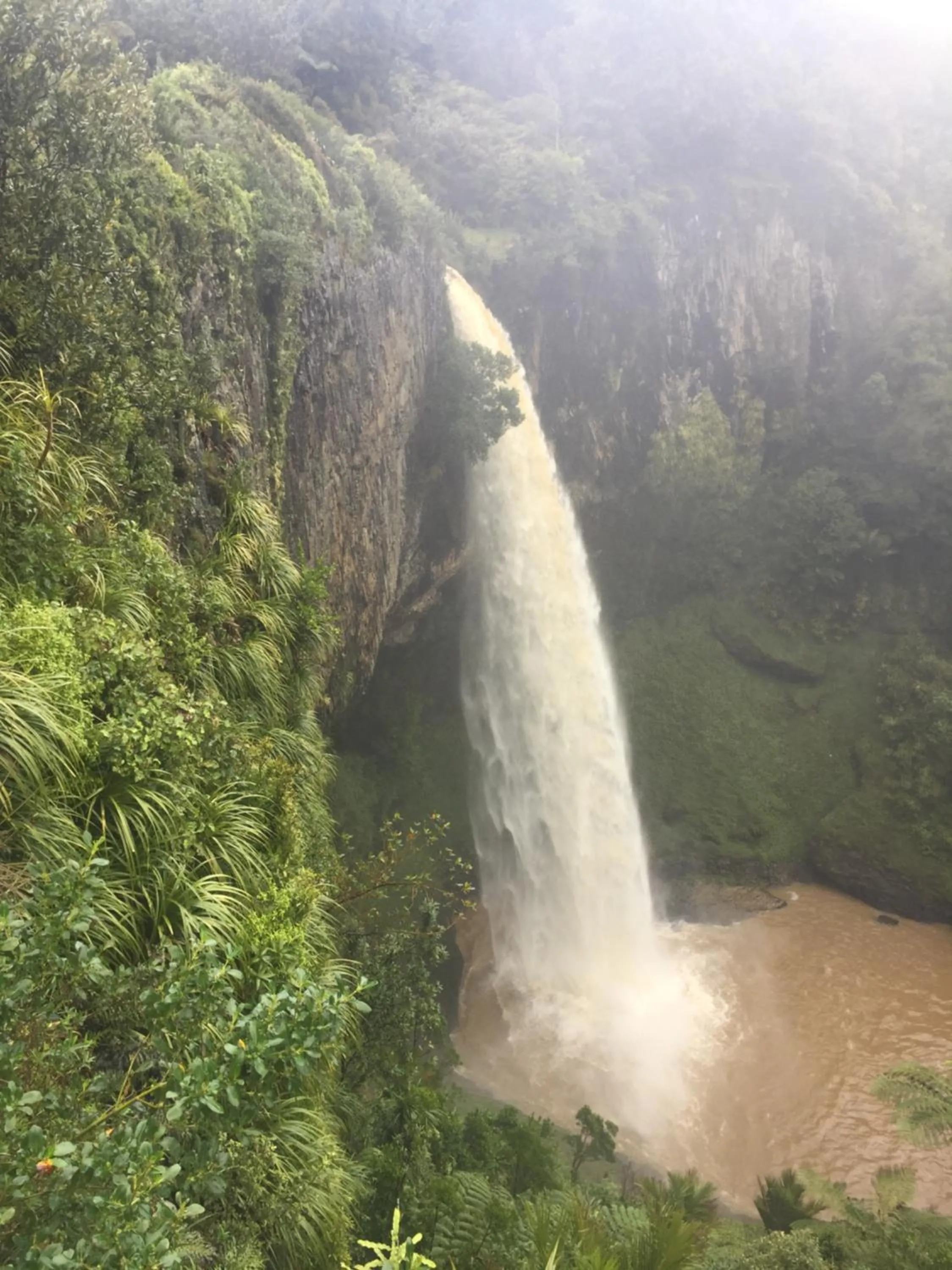 Waitomo Caves Guest Lodge