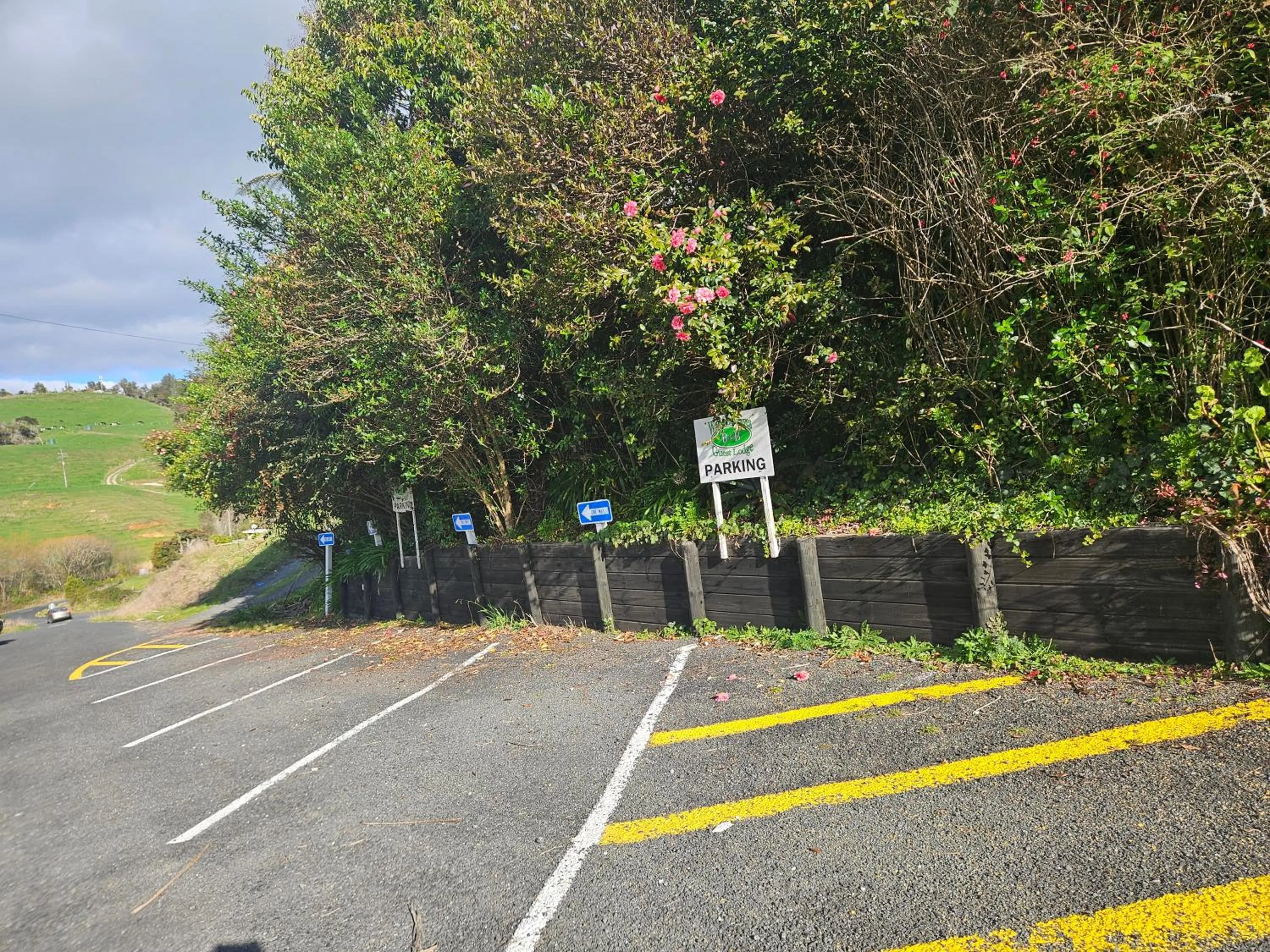 Parking in Waitomo Caves Guest Lodge