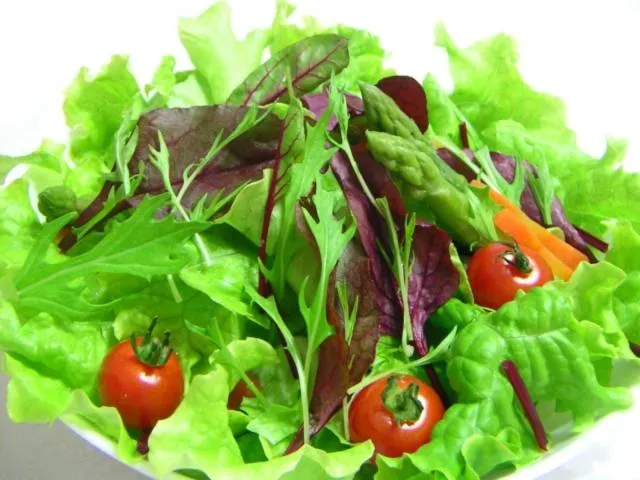 Food close-up in Pension Megumiyuki