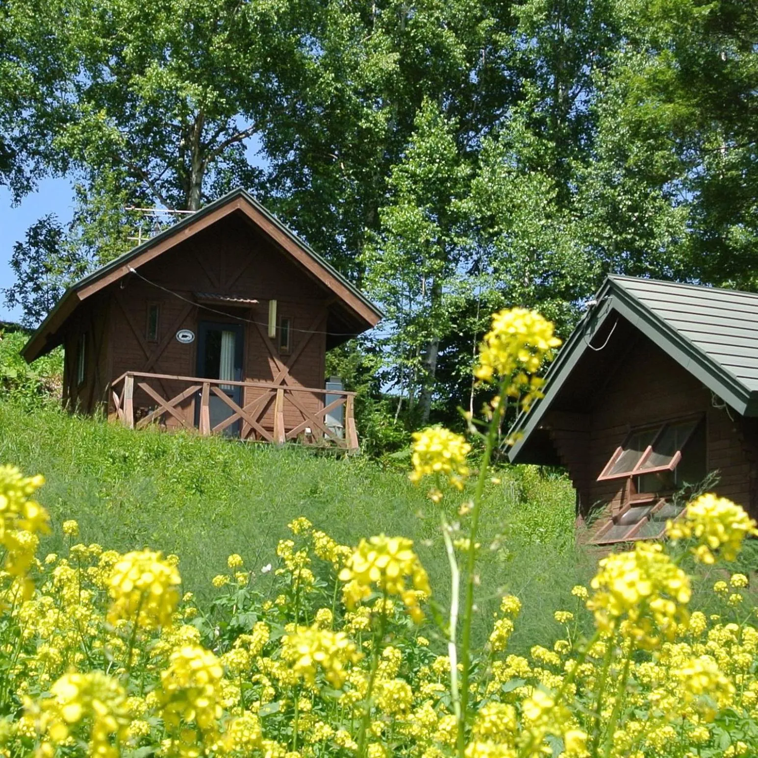 BBQ facilities in Pension Megumiyuki