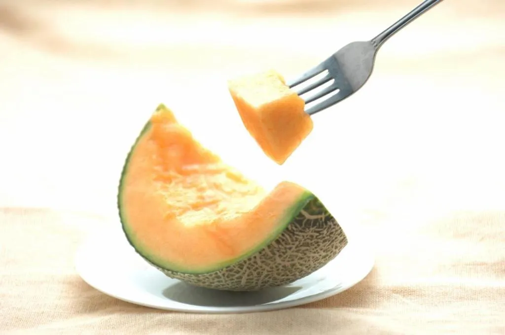 Food close-up in Pension Megumiyuki