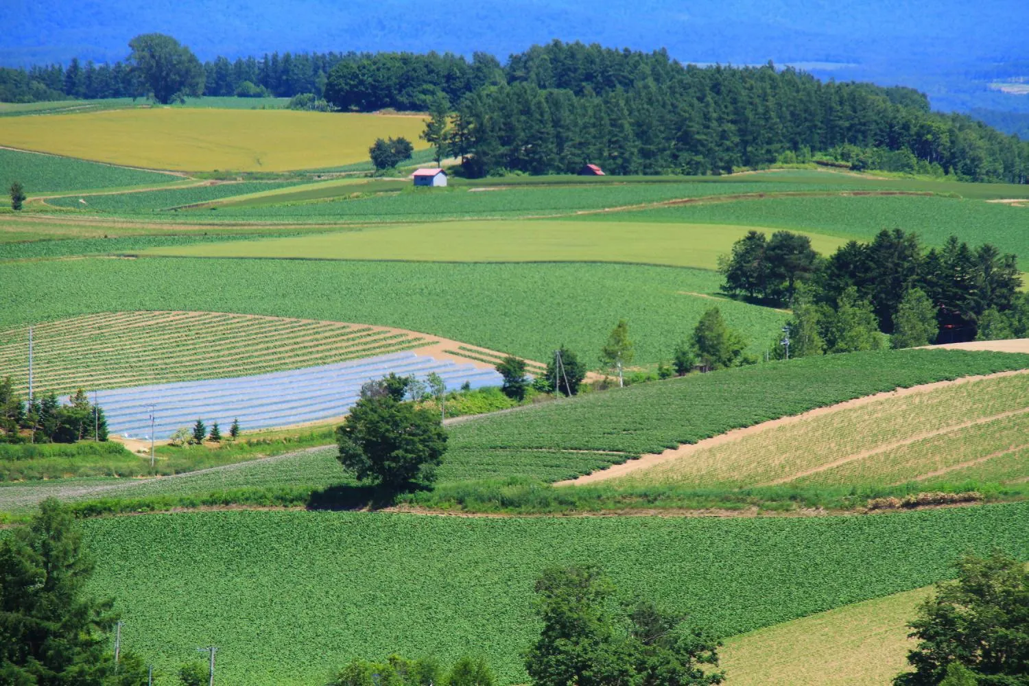 Off site in Pension Megumiyuki