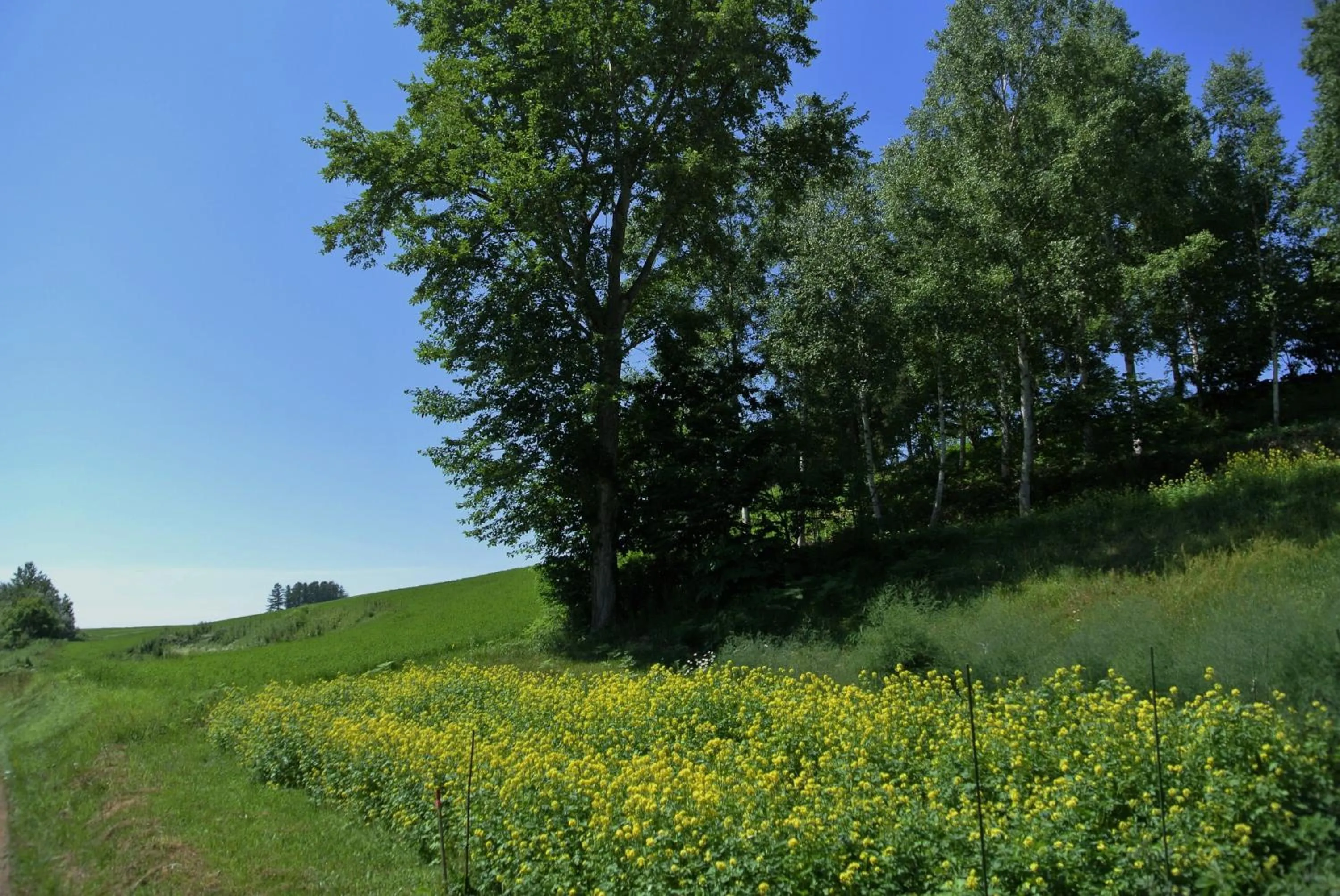 Off site in Pension Megumiyuki