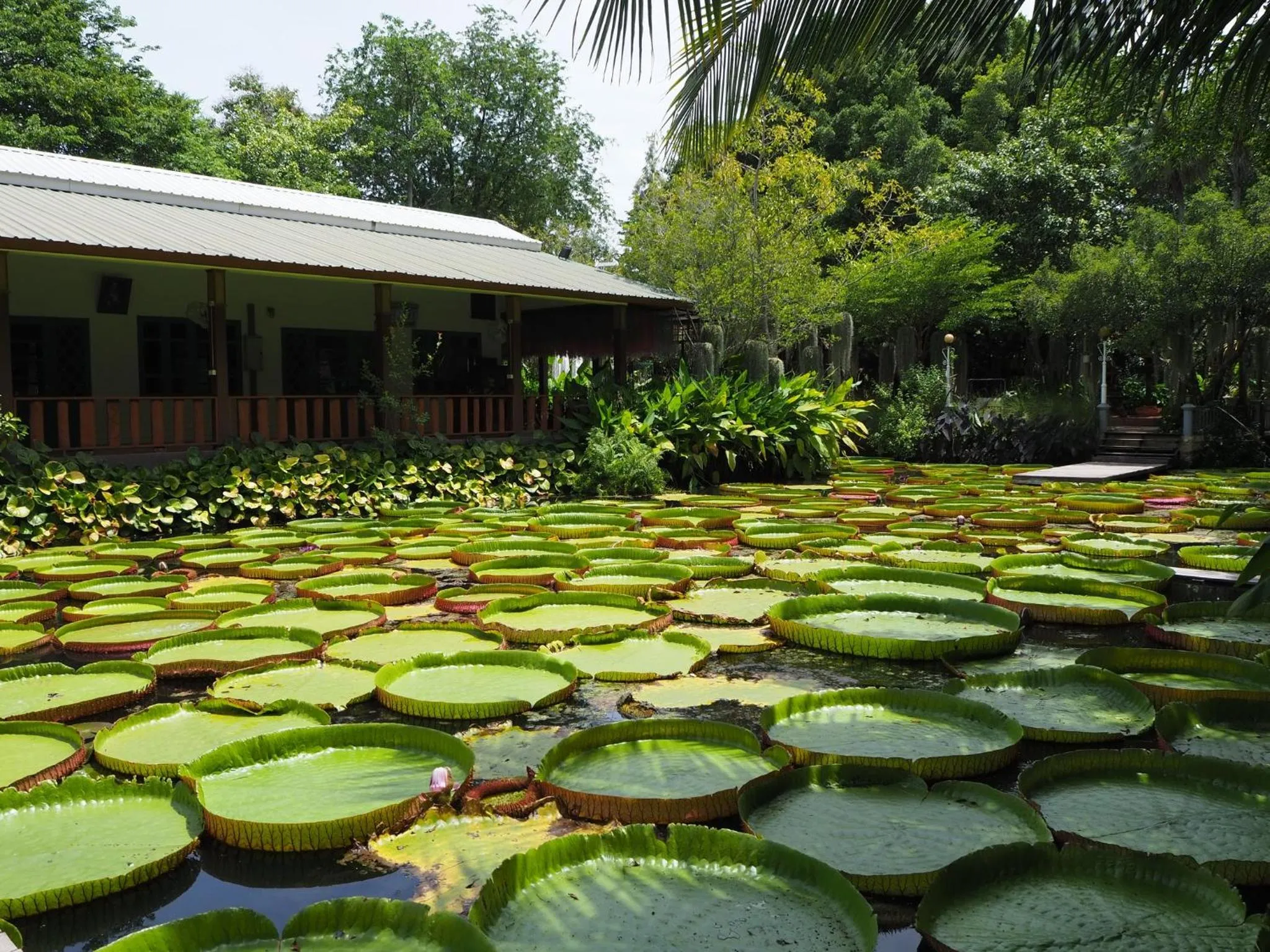 Garden view in Muaan Resort