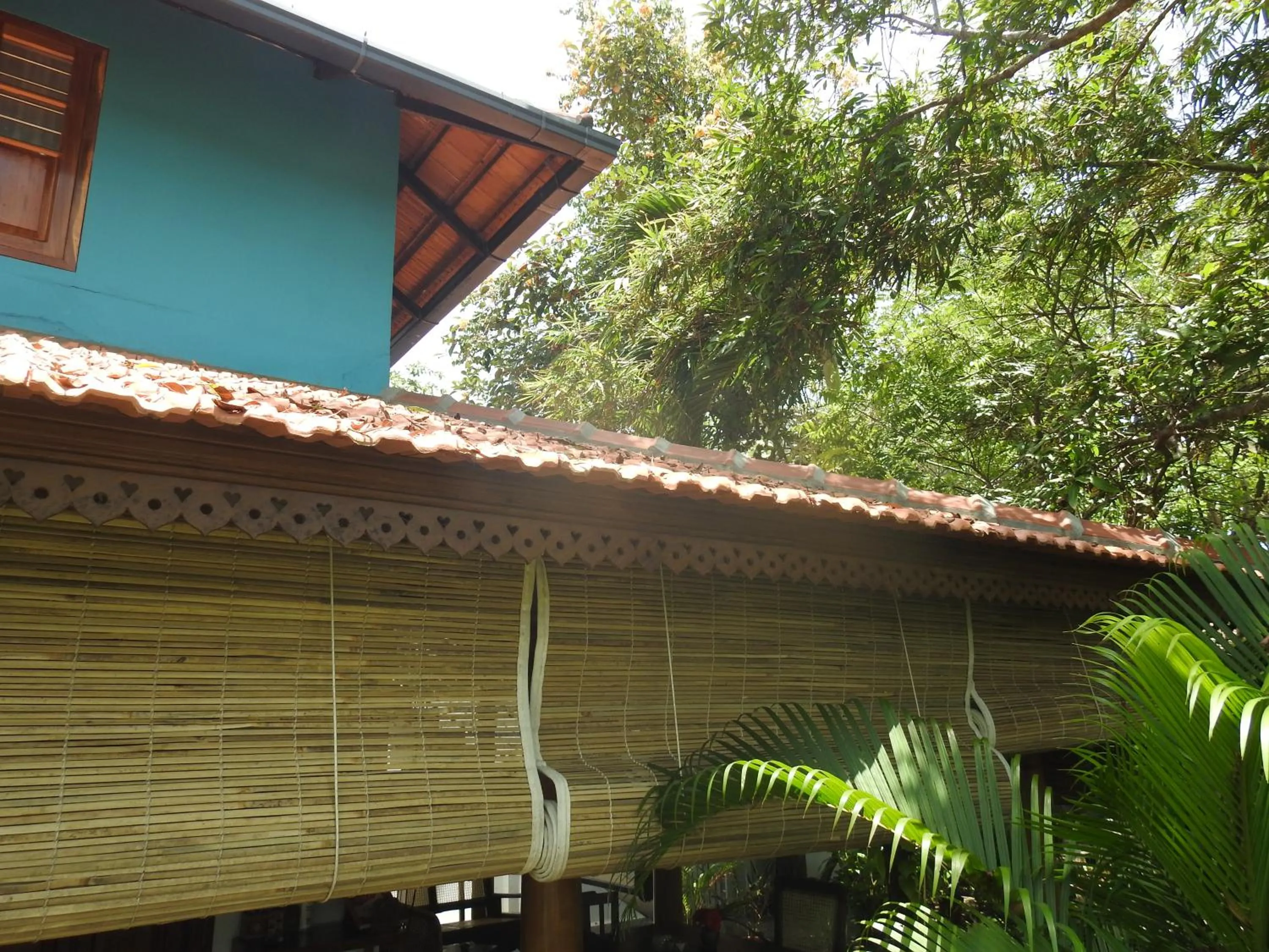 Alleppey Beach Garden