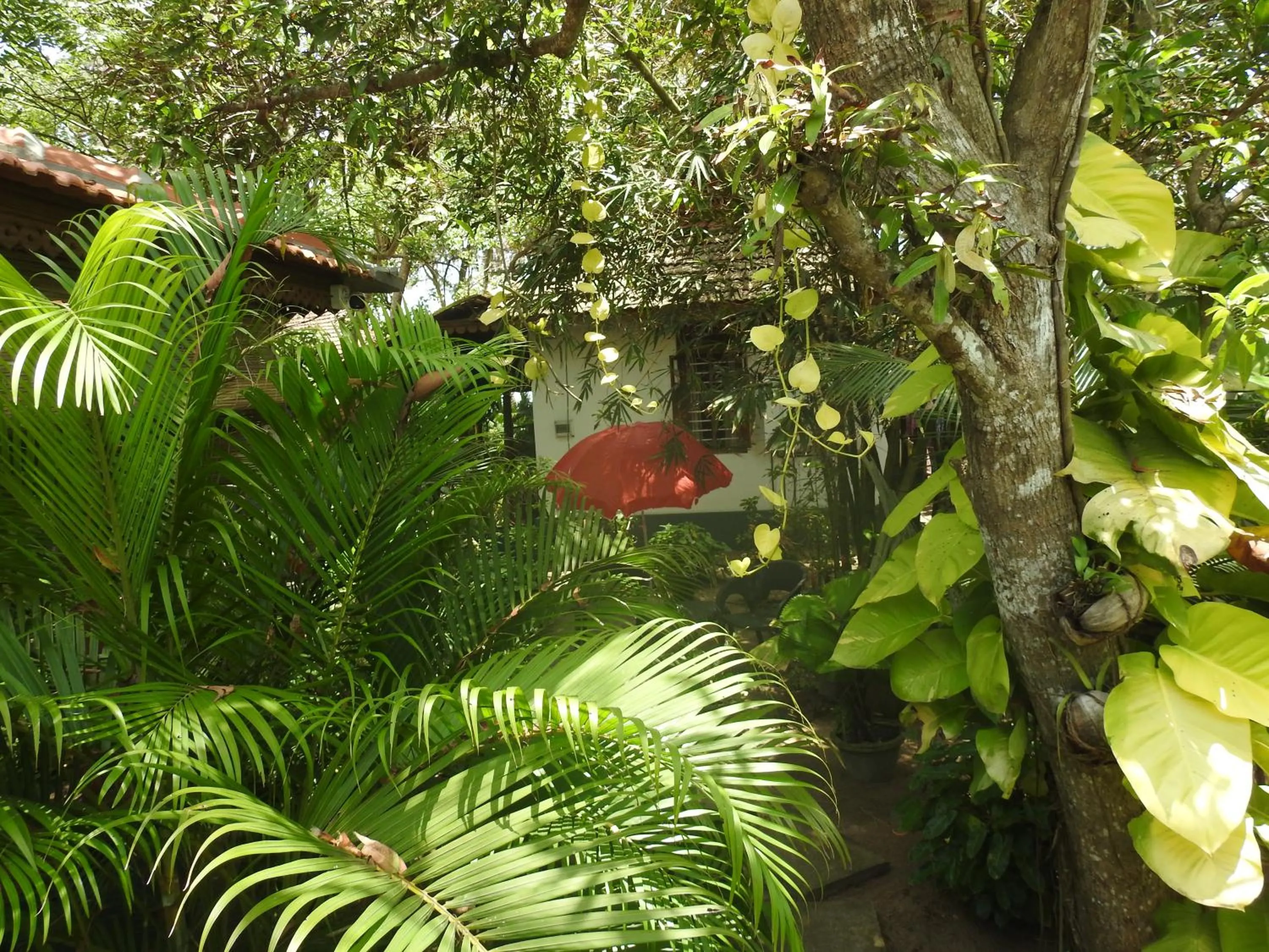 Alleppey Beach Garden