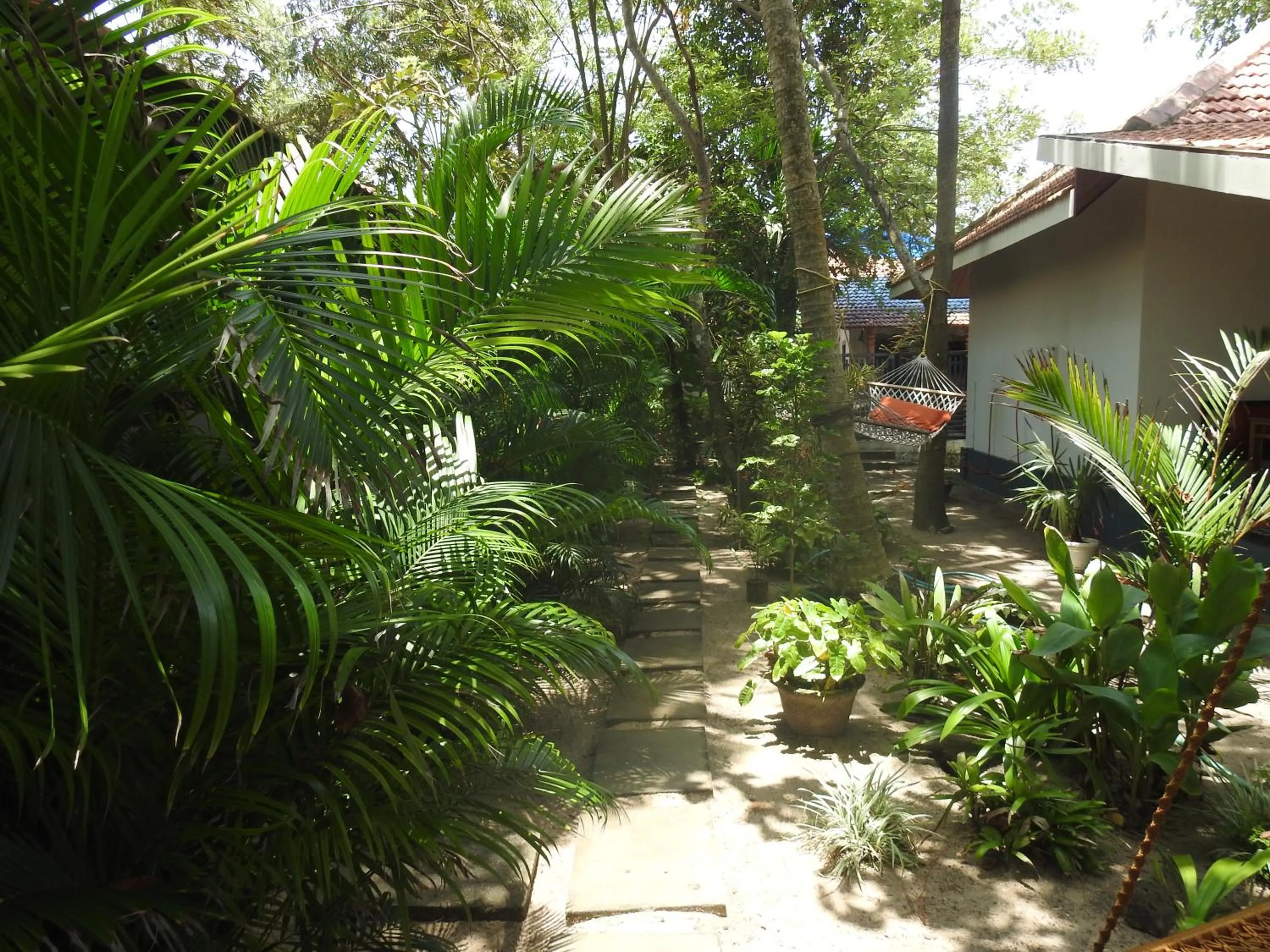 Alleppey Beach Garden