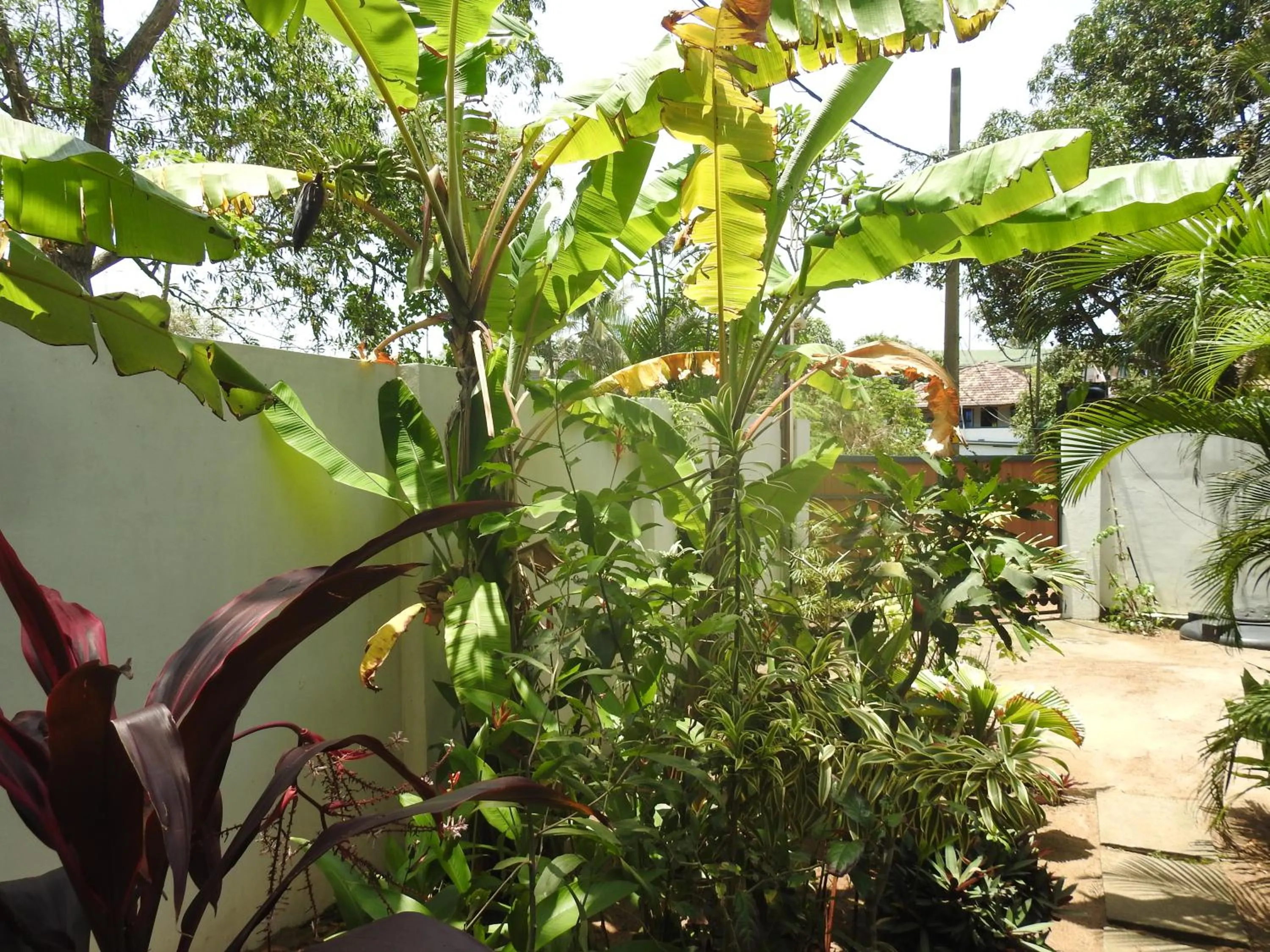 Alleppey Beach Garden