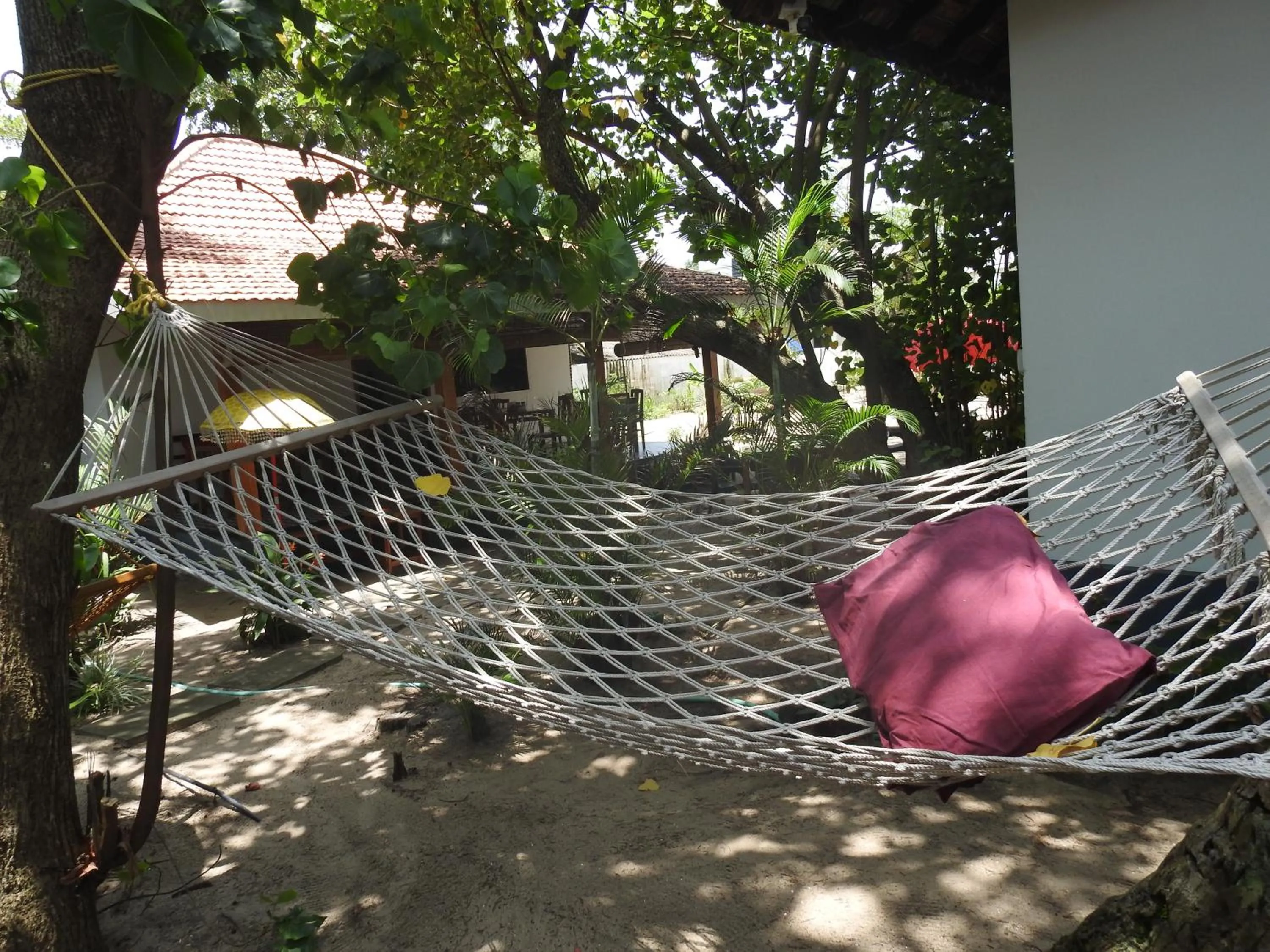 Alleppey Beach Garden