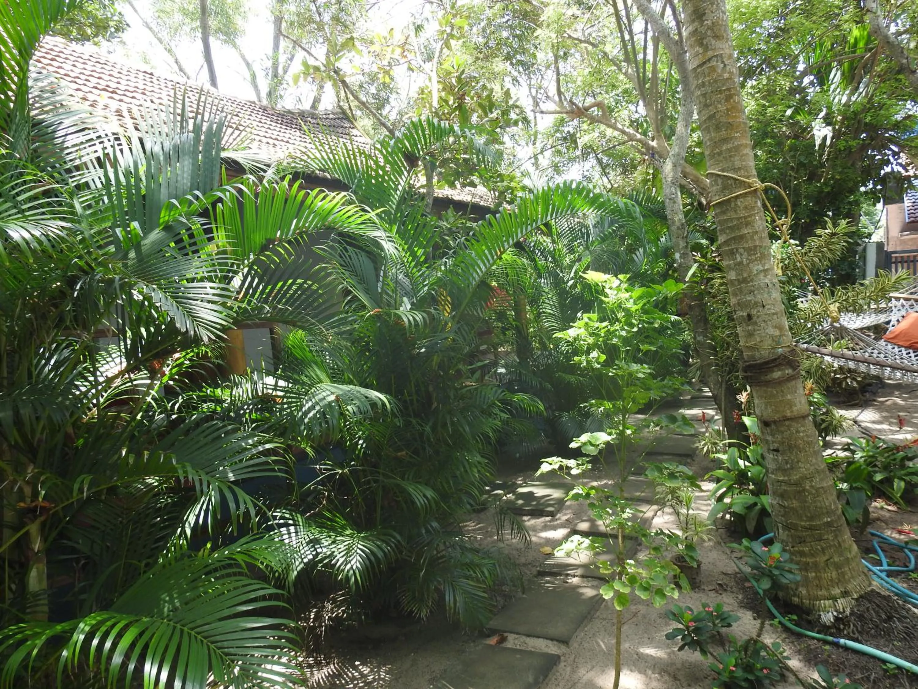 Alleppey Beach Garden