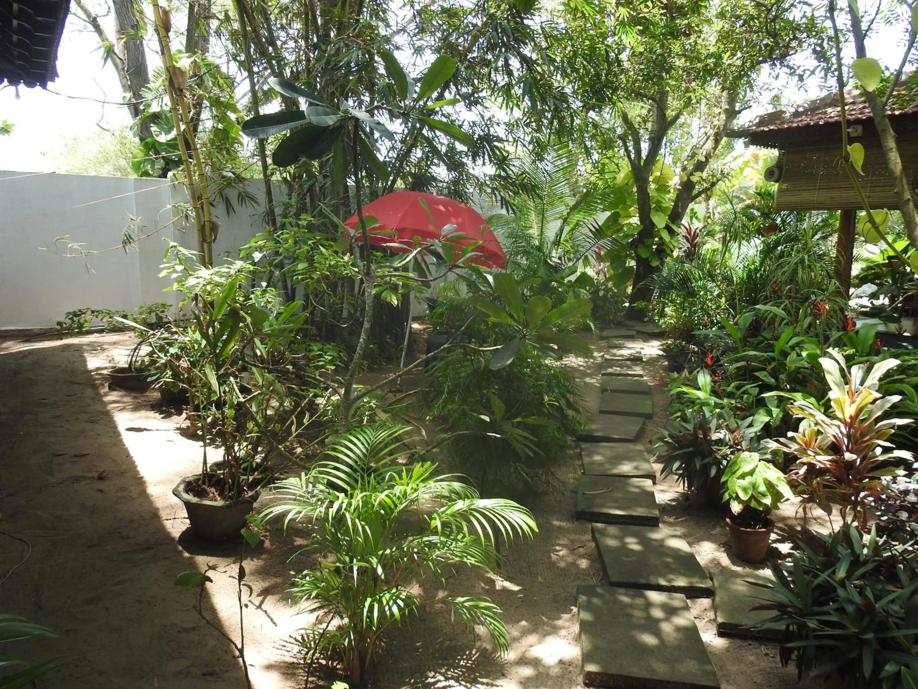 Alleppey Beach Garden