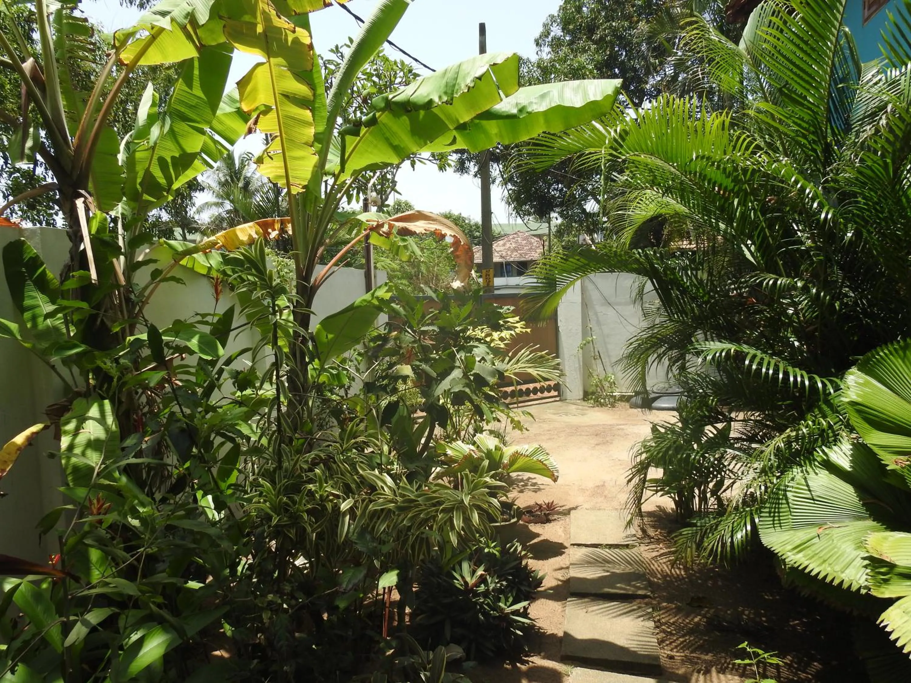Alleppey Beach Garden