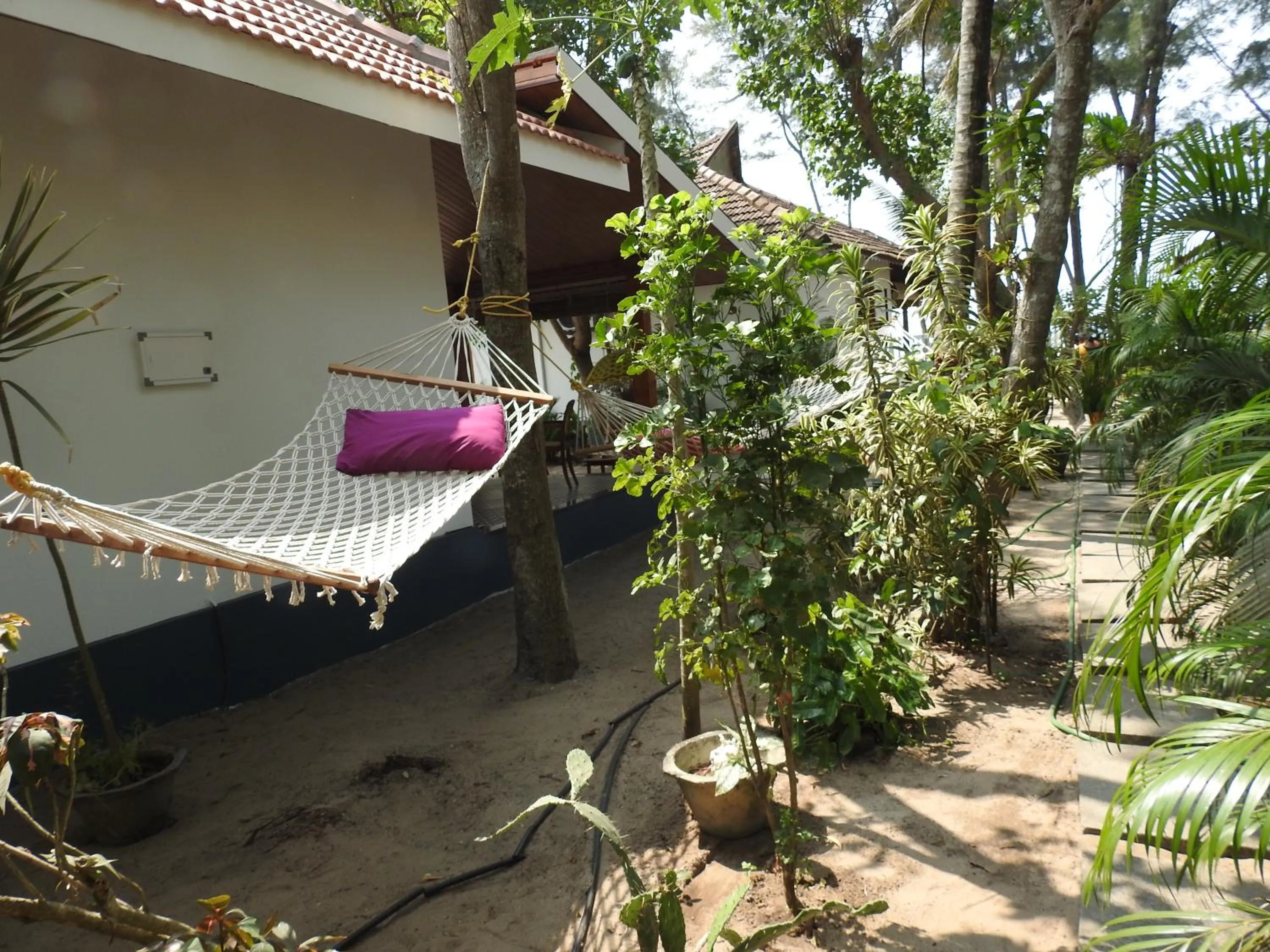 Alleppey Beach Garden