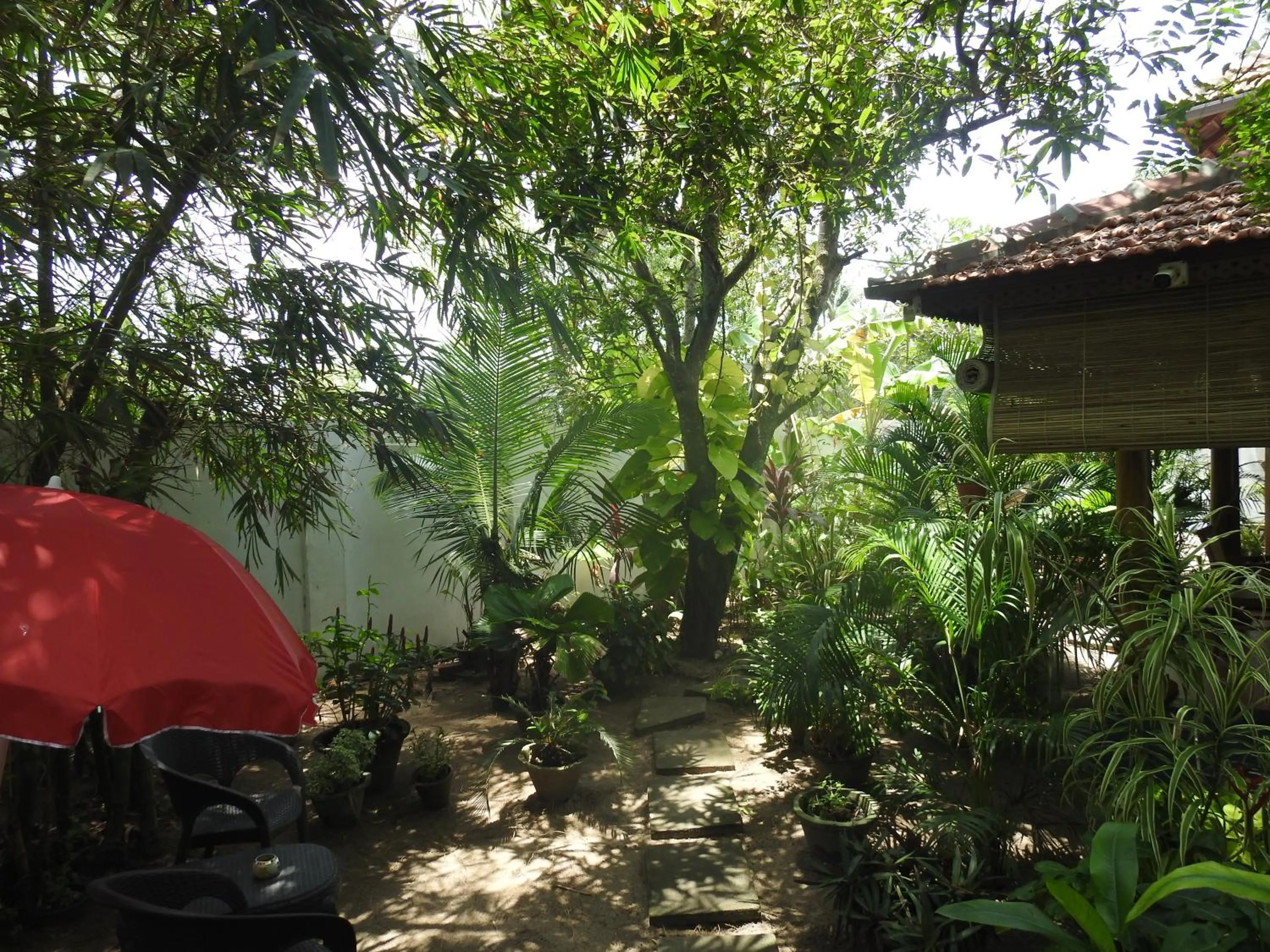 Alleppey Beach Garden